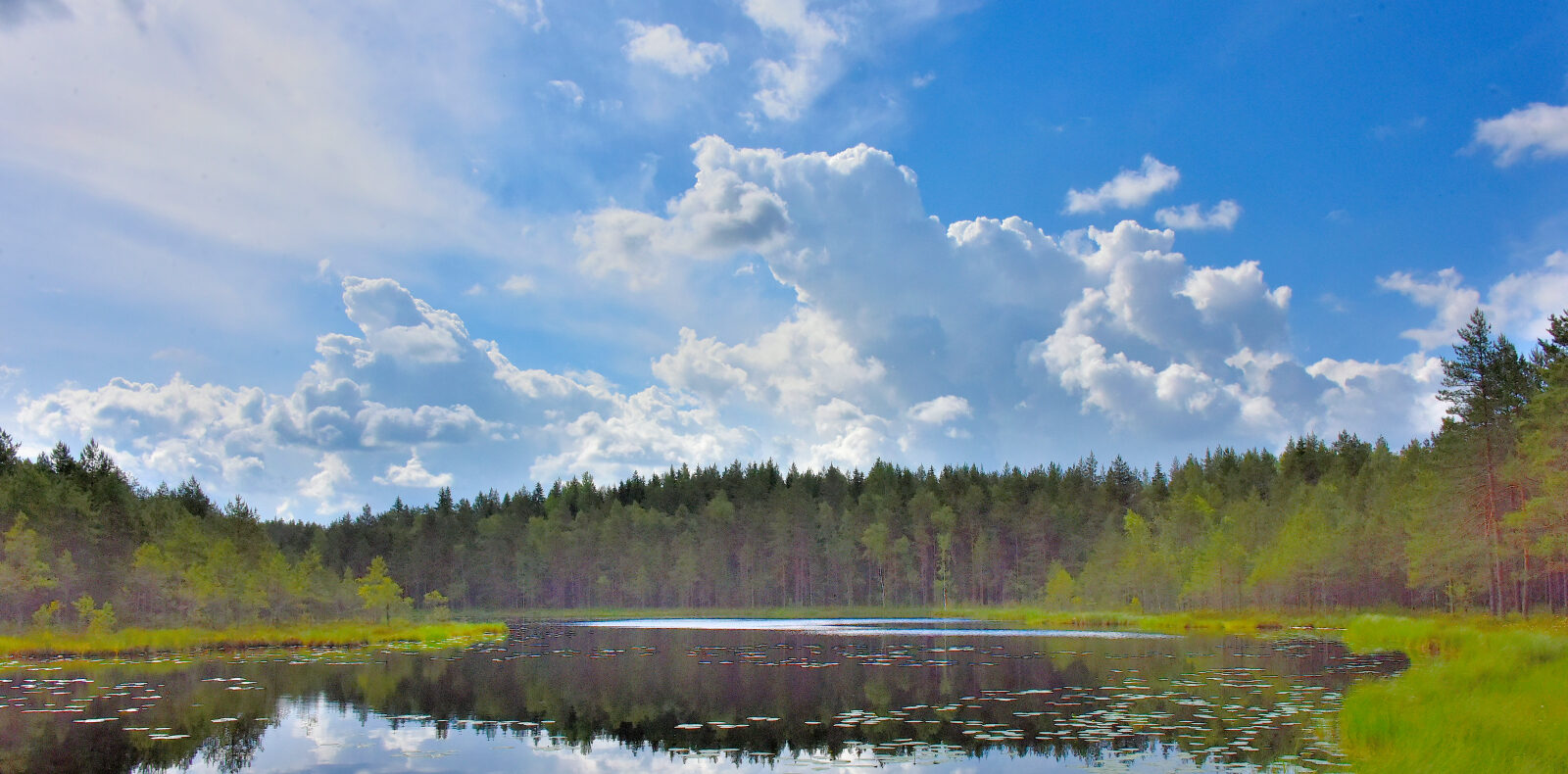 Valokuvaaja: Reijo Juurinen