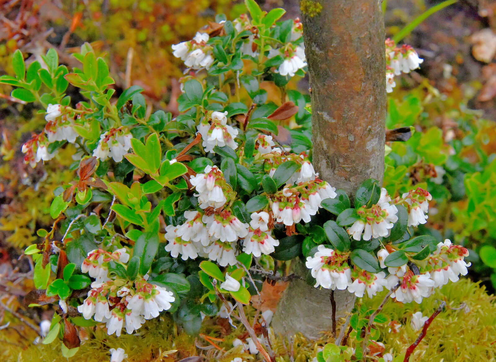 Valokuvaaja: Reijo Juurinen