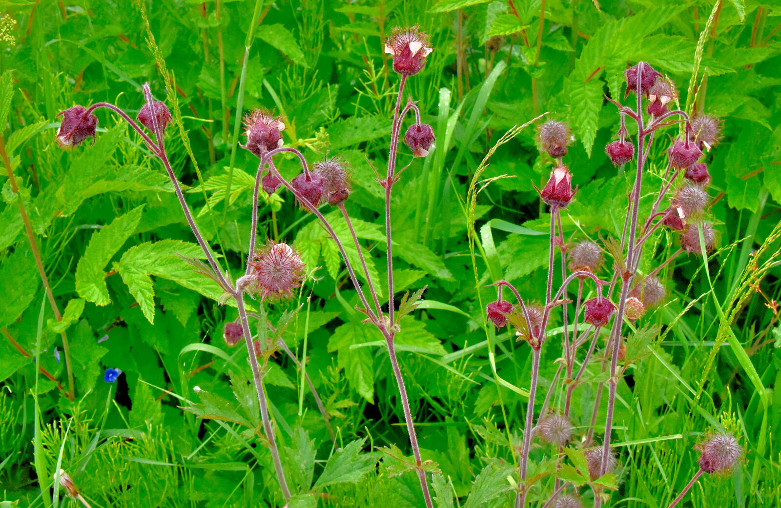 Valokuvaaja: Reijo Juurinen