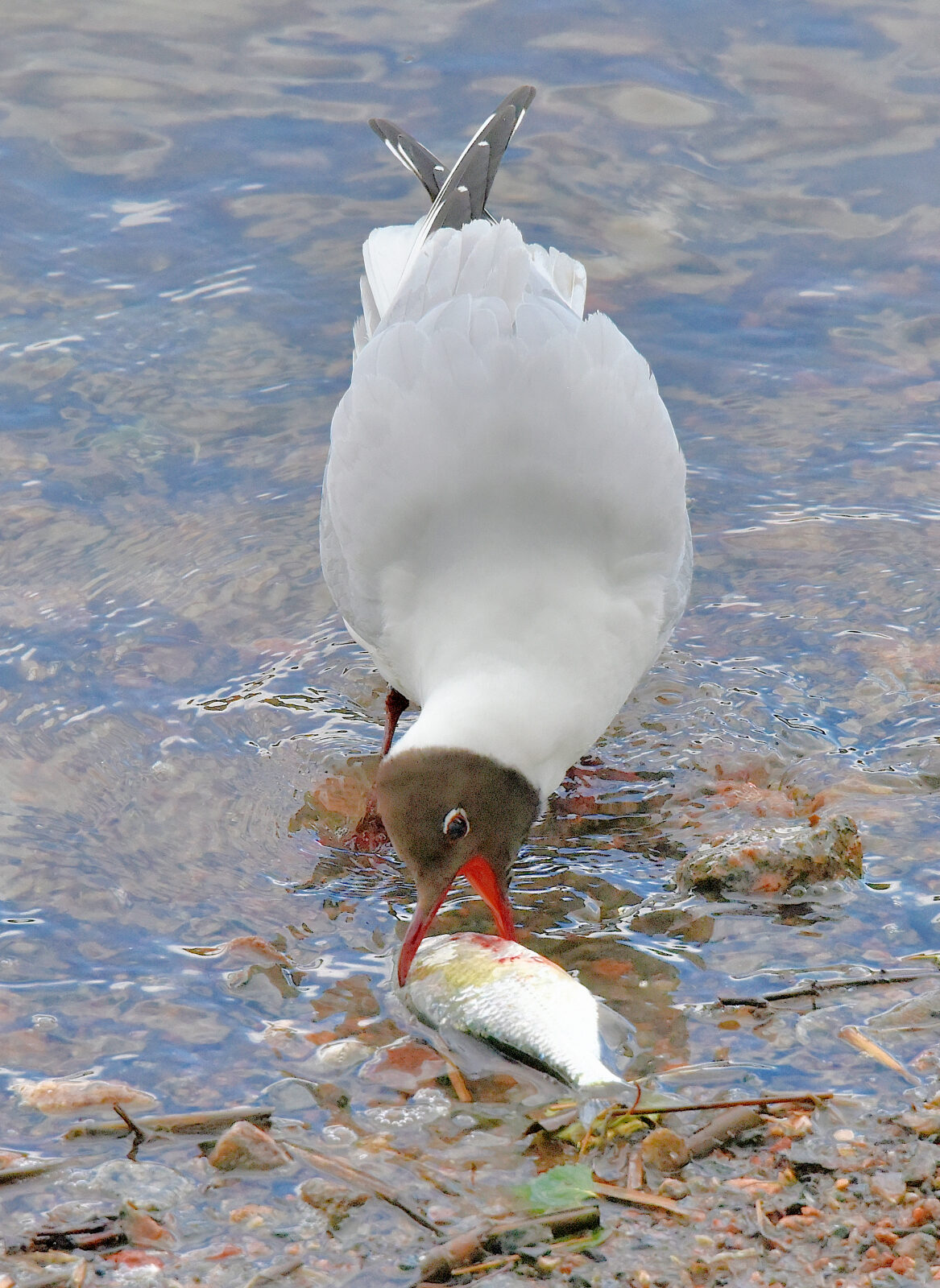 Valokuvaaja: Reijo Juurinen