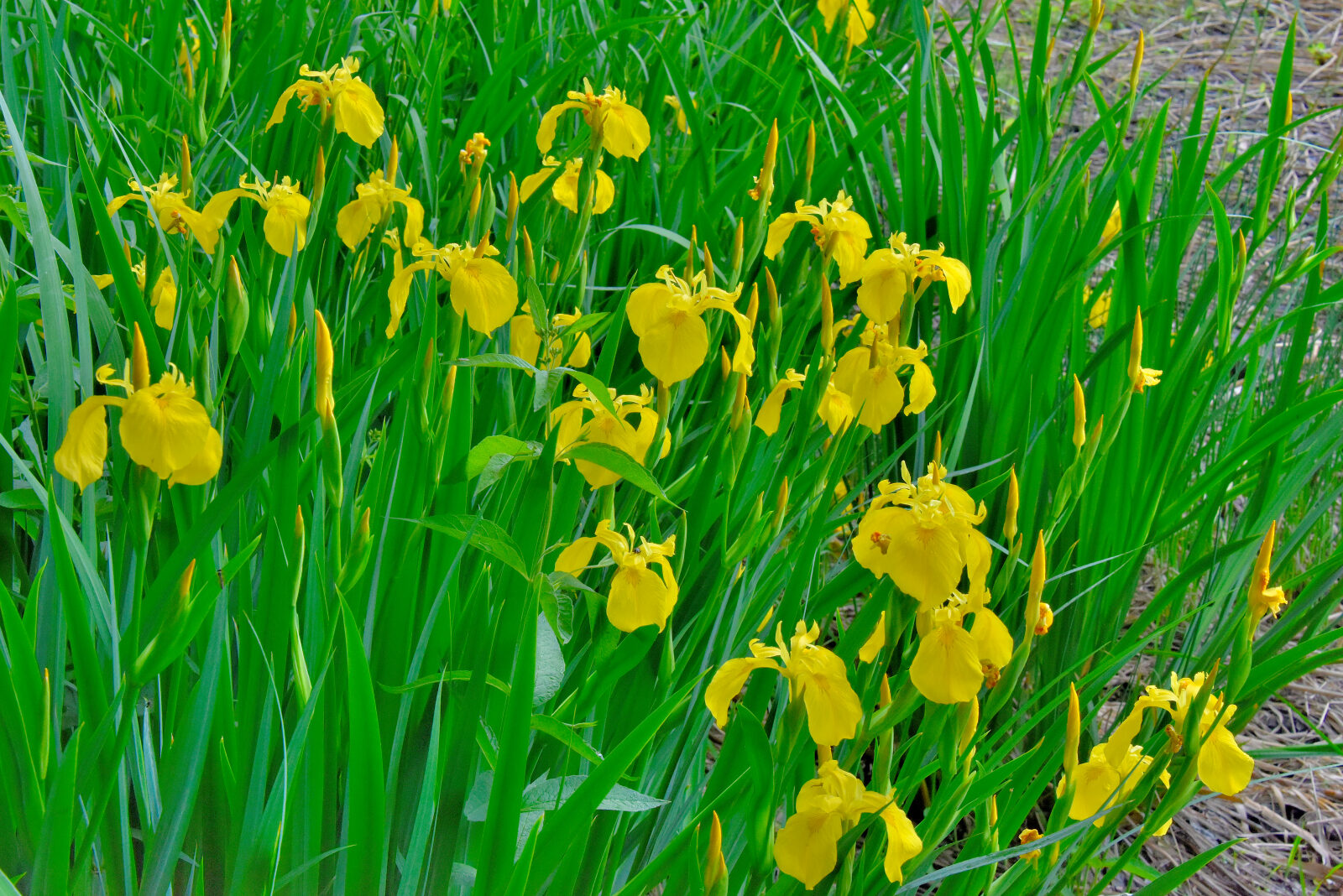 Valokuvaaja: Reijo Juurinen