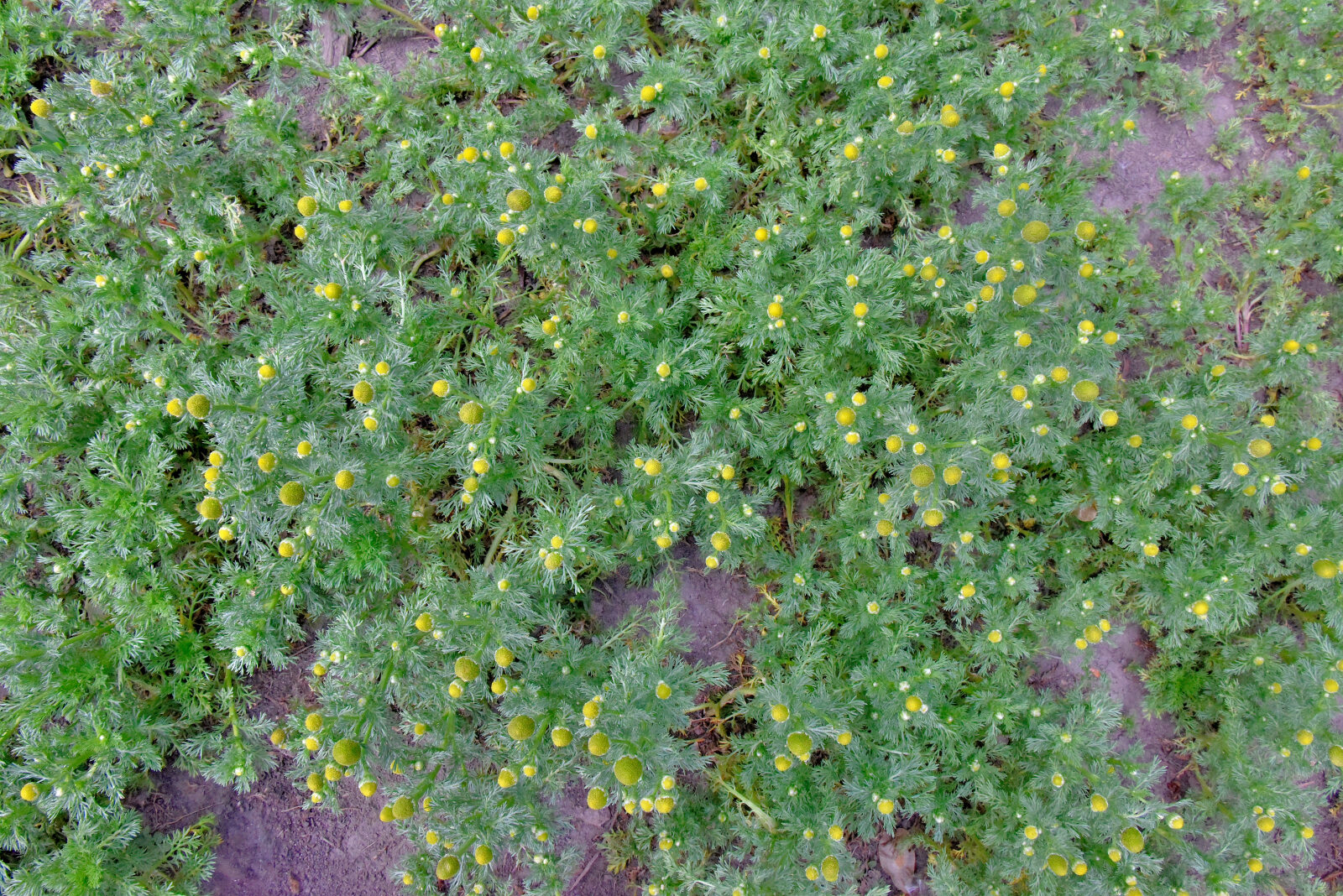 Valokuvaaja: Reijo Juurinen