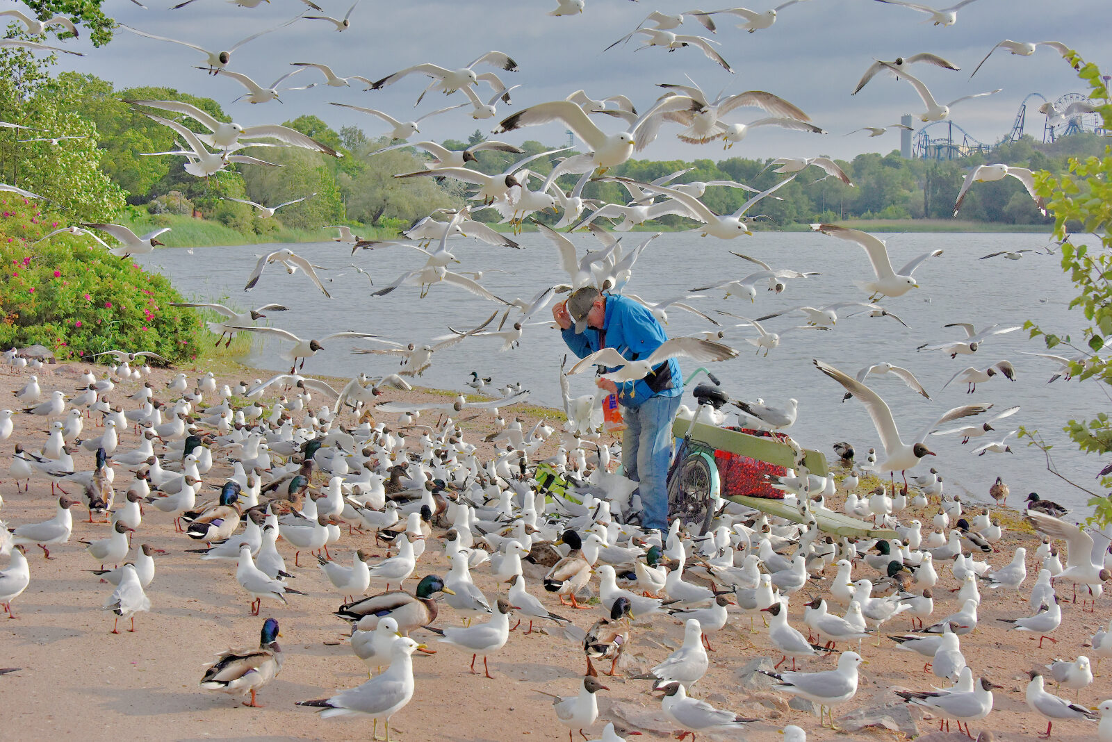 Valokuvaaja: Reijo Juurinen