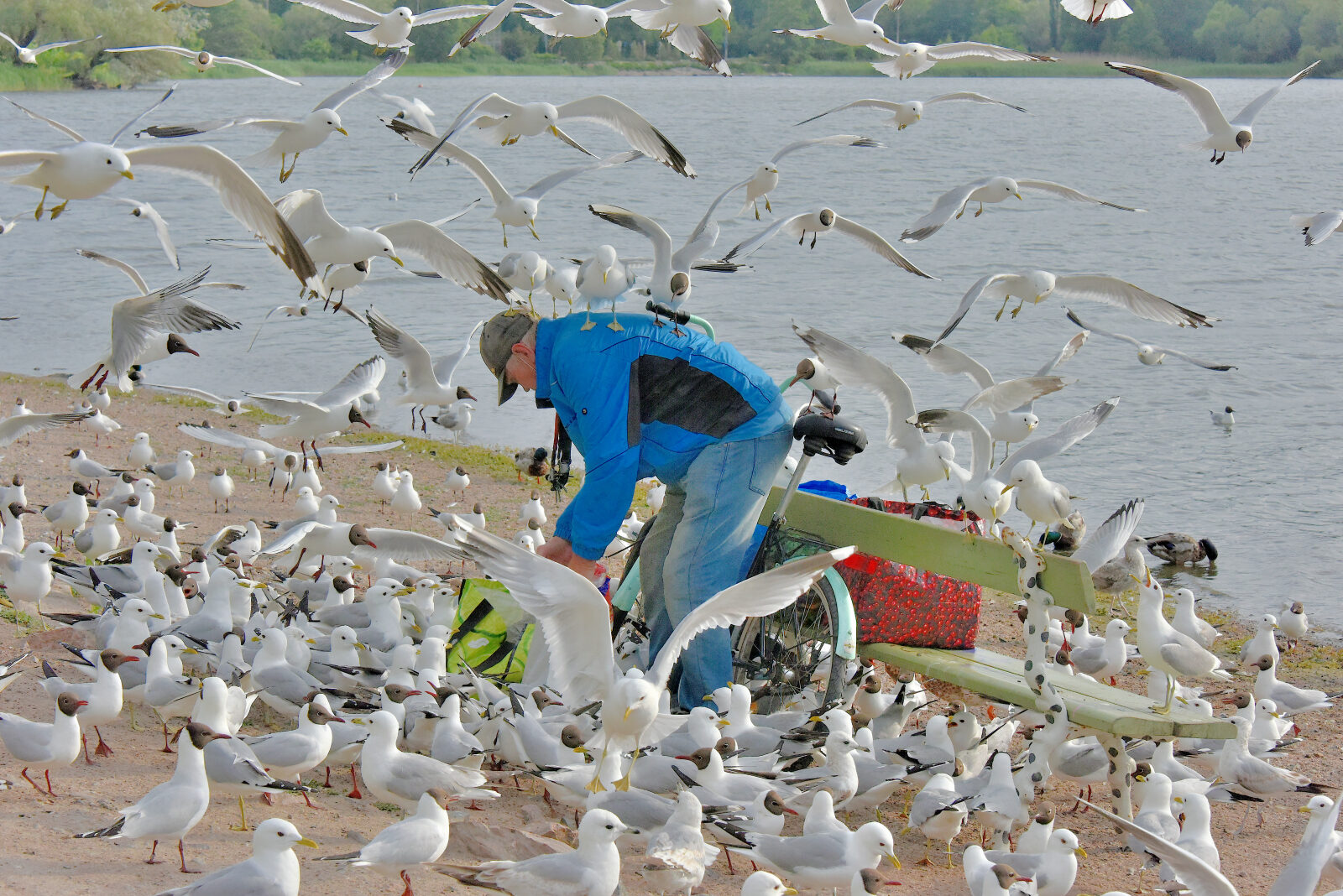 Valokuvaaja: Reijo Juurinen
