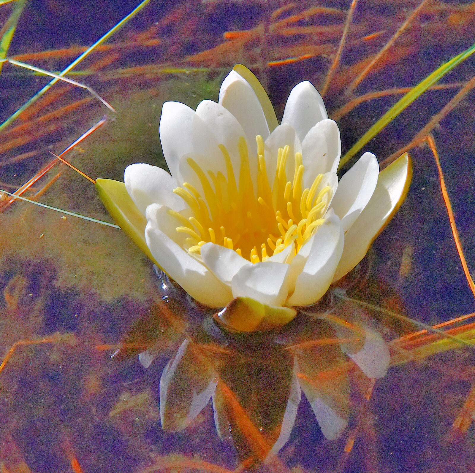 Valokuvaaja: Reijo Juurinen