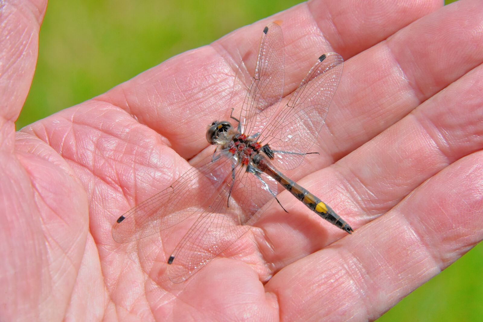 Valokuvaaja: Reijo Juurinen