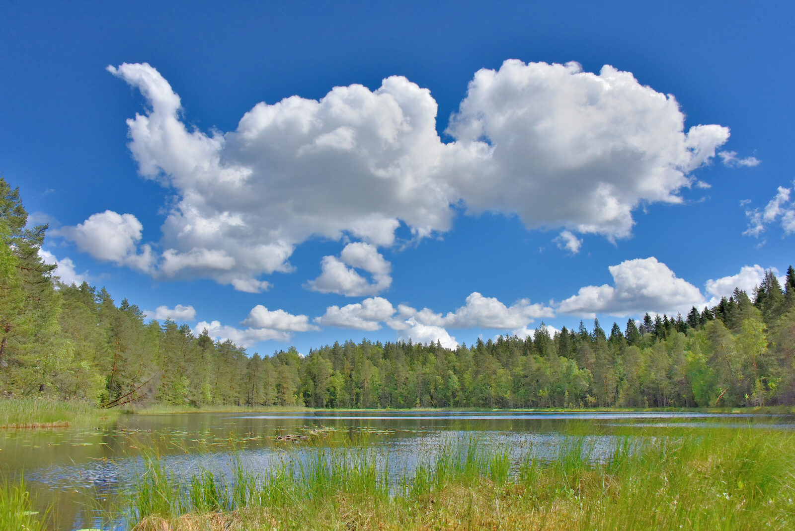 Valokuvaaja: Reijo Juurinen