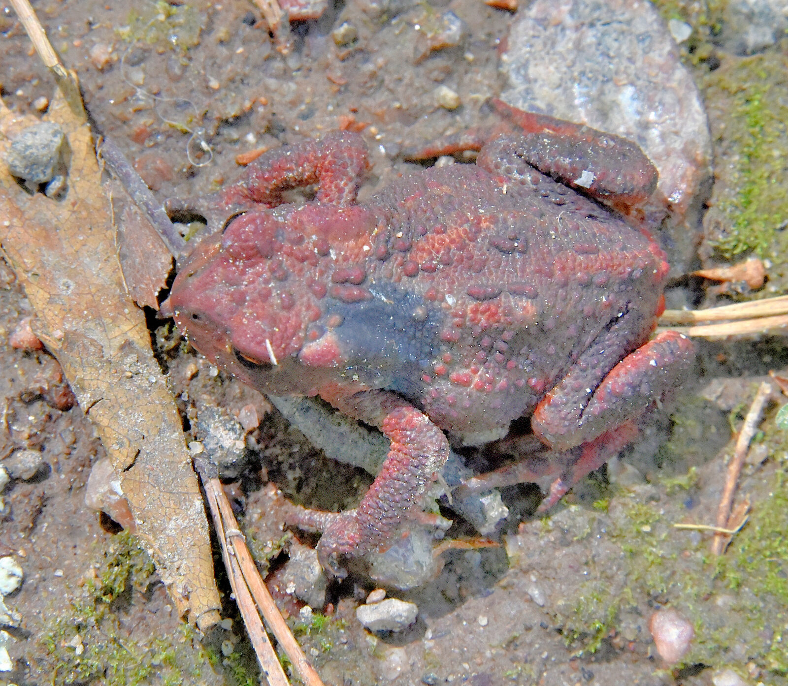 Valokuvaaja: Reijo Juurinen