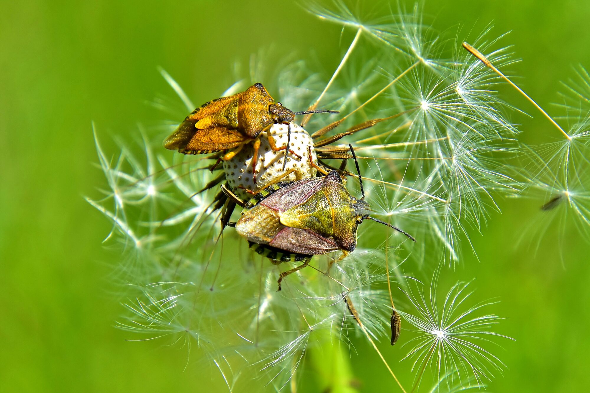 Valokuvaaja: Markku Pelkonen Valokuvaaja: Markku Pelkonen