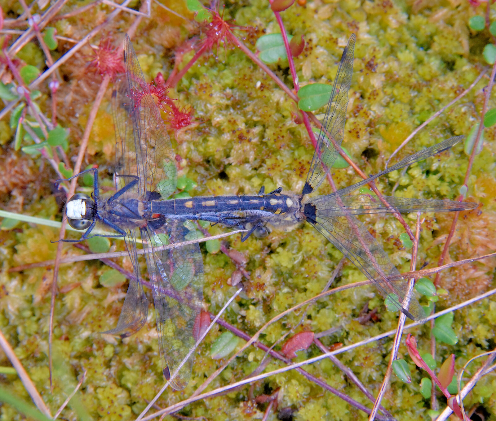 Valokuvaaja: Reijo Juurinen
