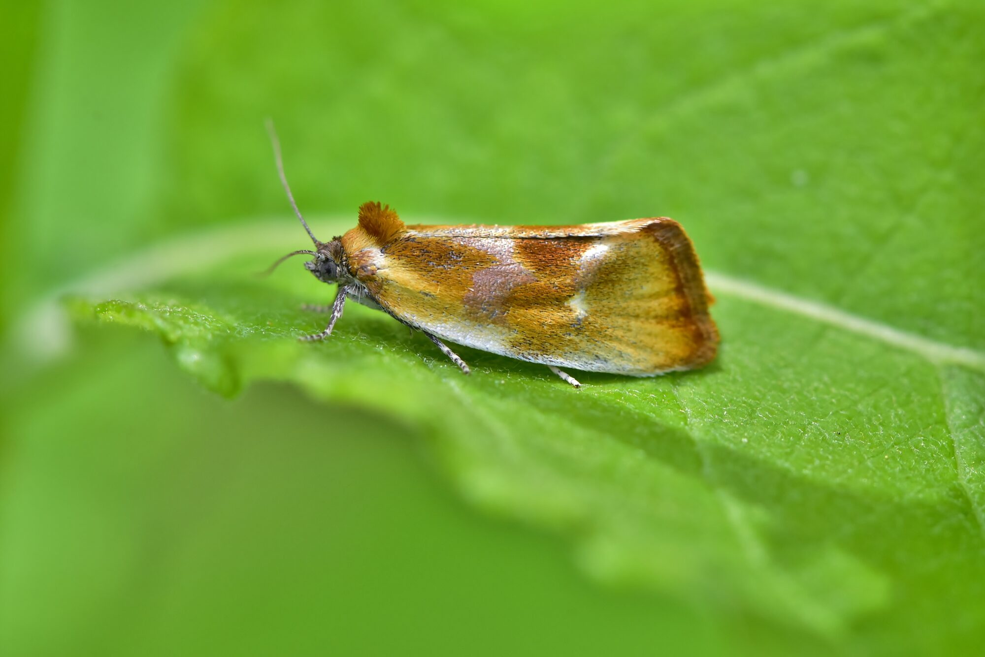 Valokuvaaja: Markku Pelkonen