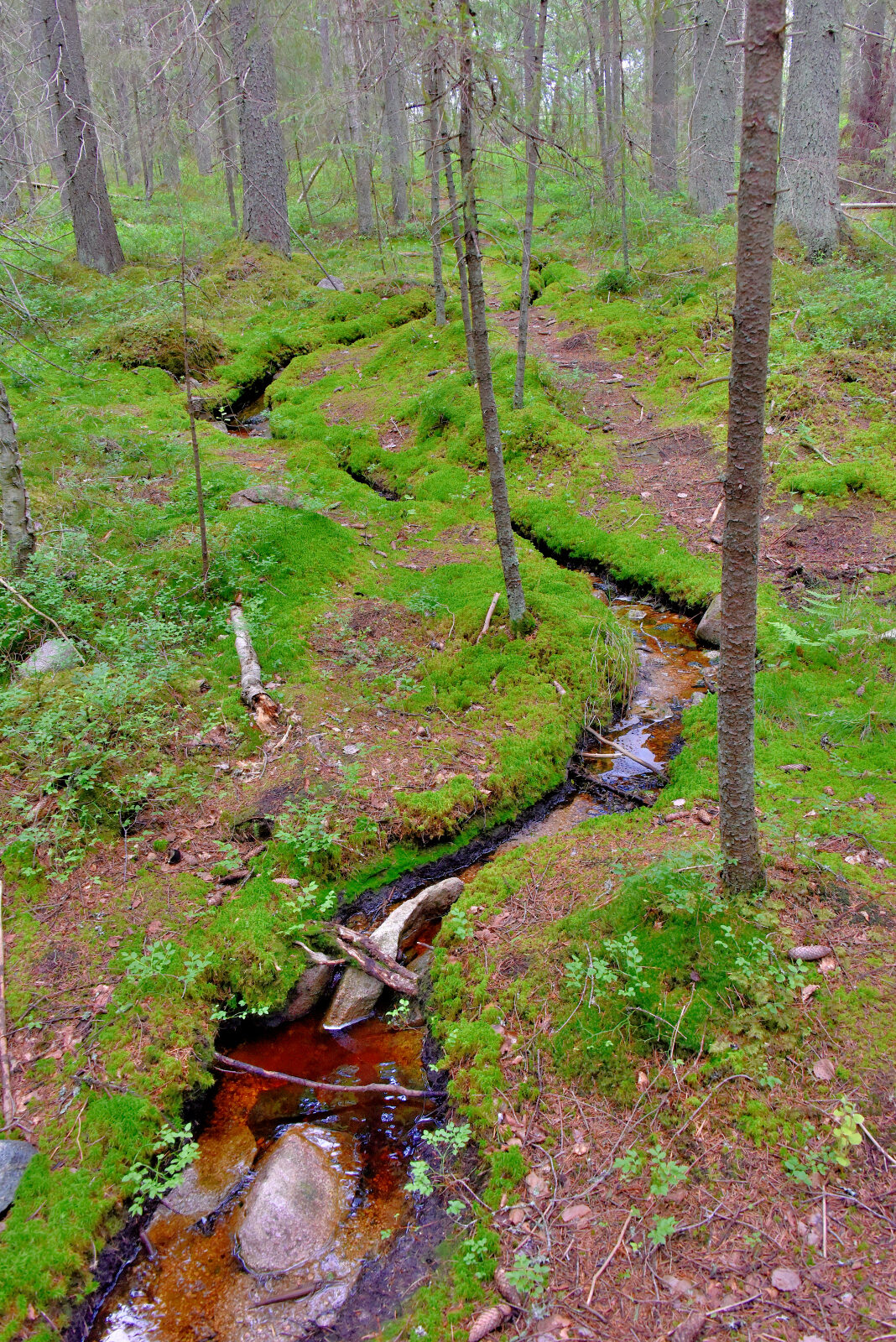 Valokuvaaja: Reijo Juurinen