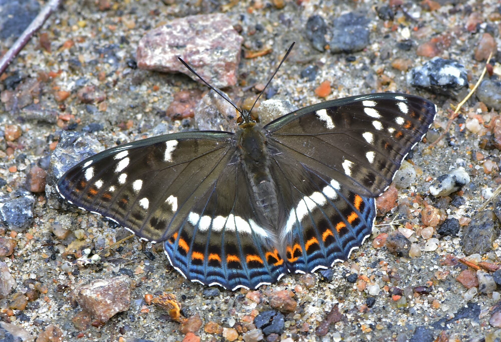 Valokuvaaja: Markku Pelkonen