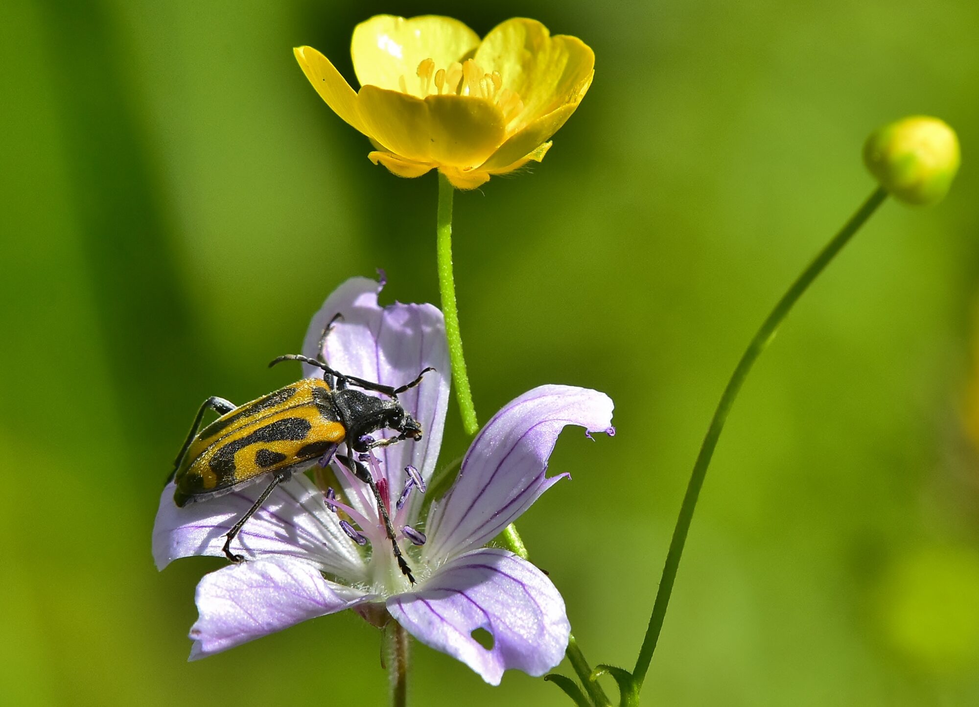Valokuvaaja: Markku Pelkonen