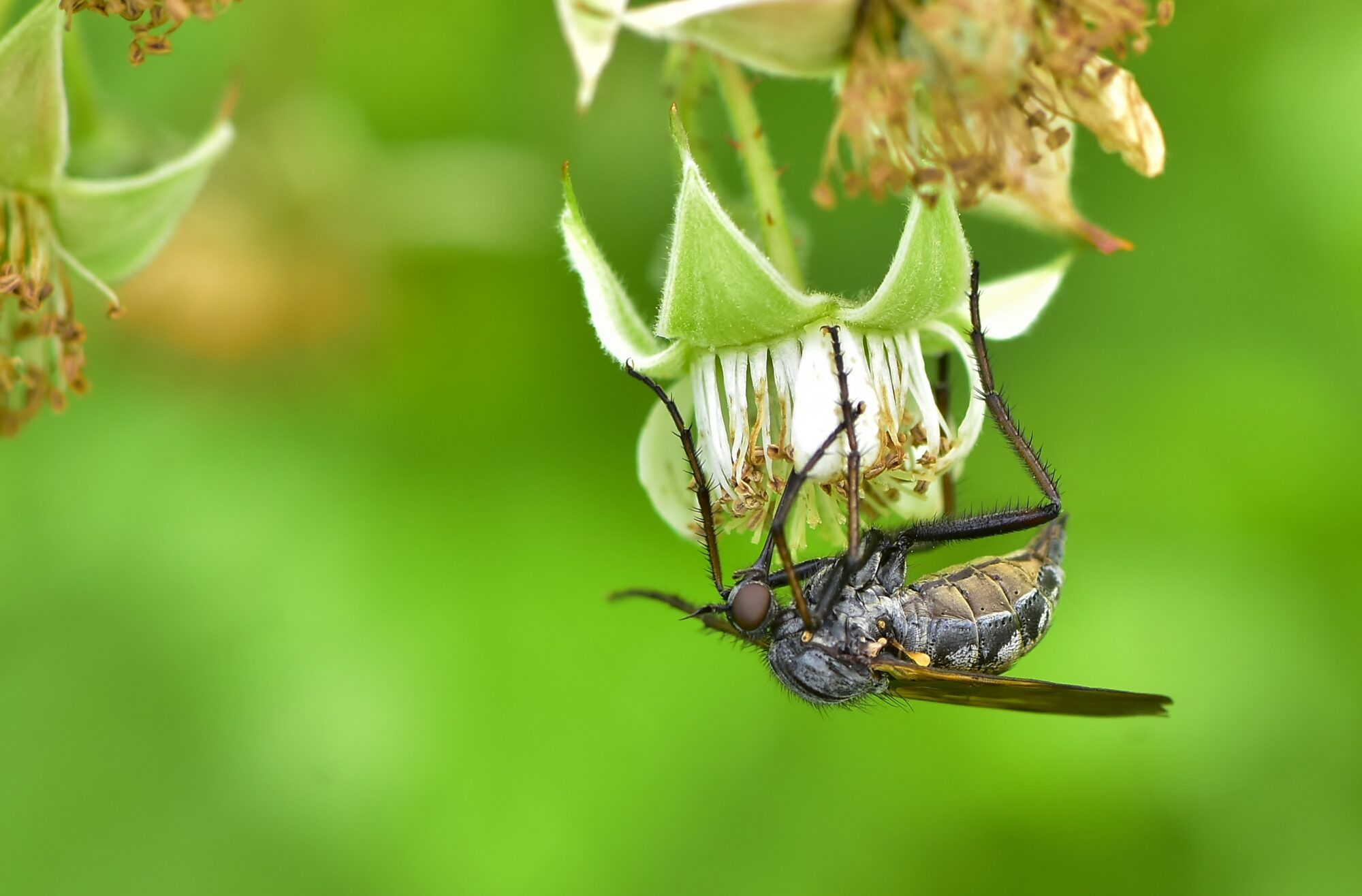 Valokuvaaja: Markku Pelkonen
