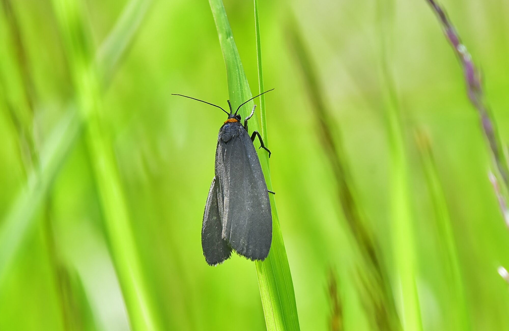 Valokuvaaja: Markku Pelkonen