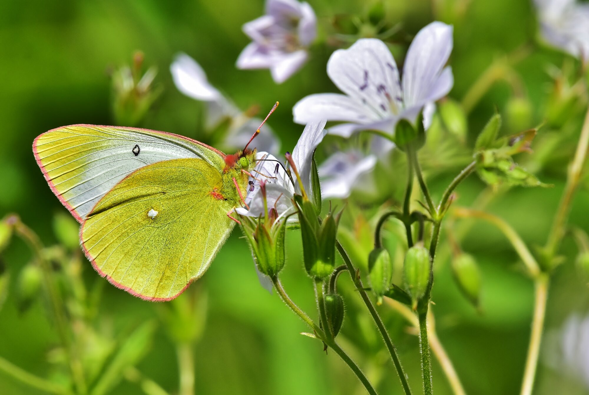 Valokuvaaja: Markku Pelkonen