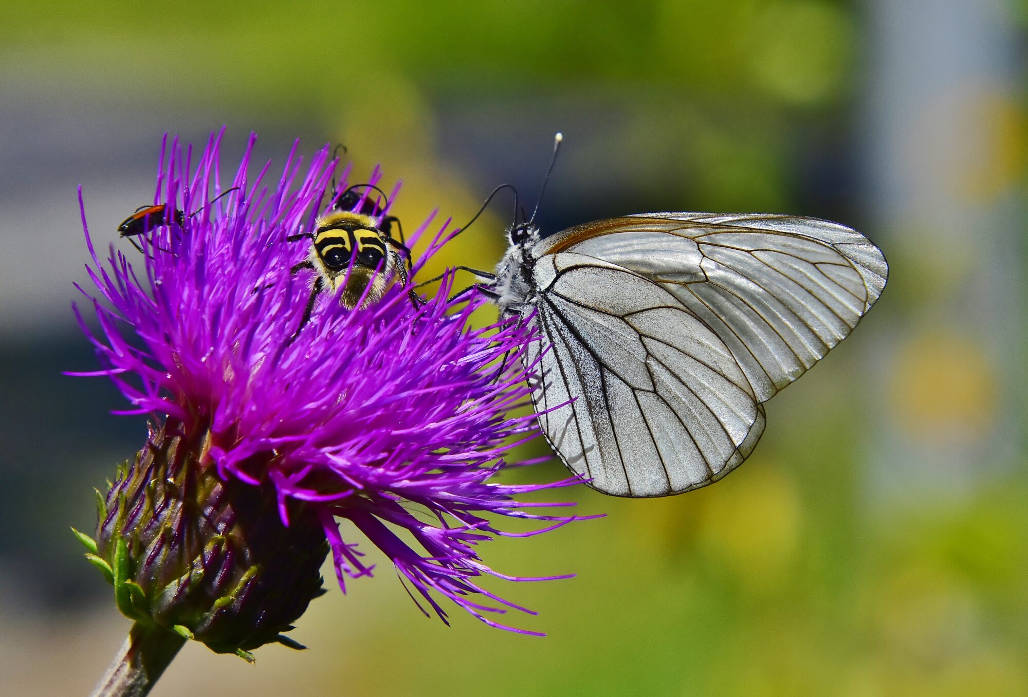 Valokuvaaja: Markku Pelkonen