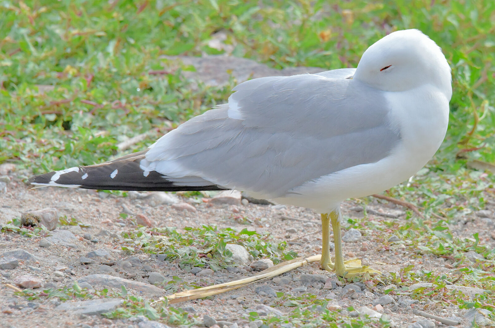 Valokuvaaja: Reijo Juurinen