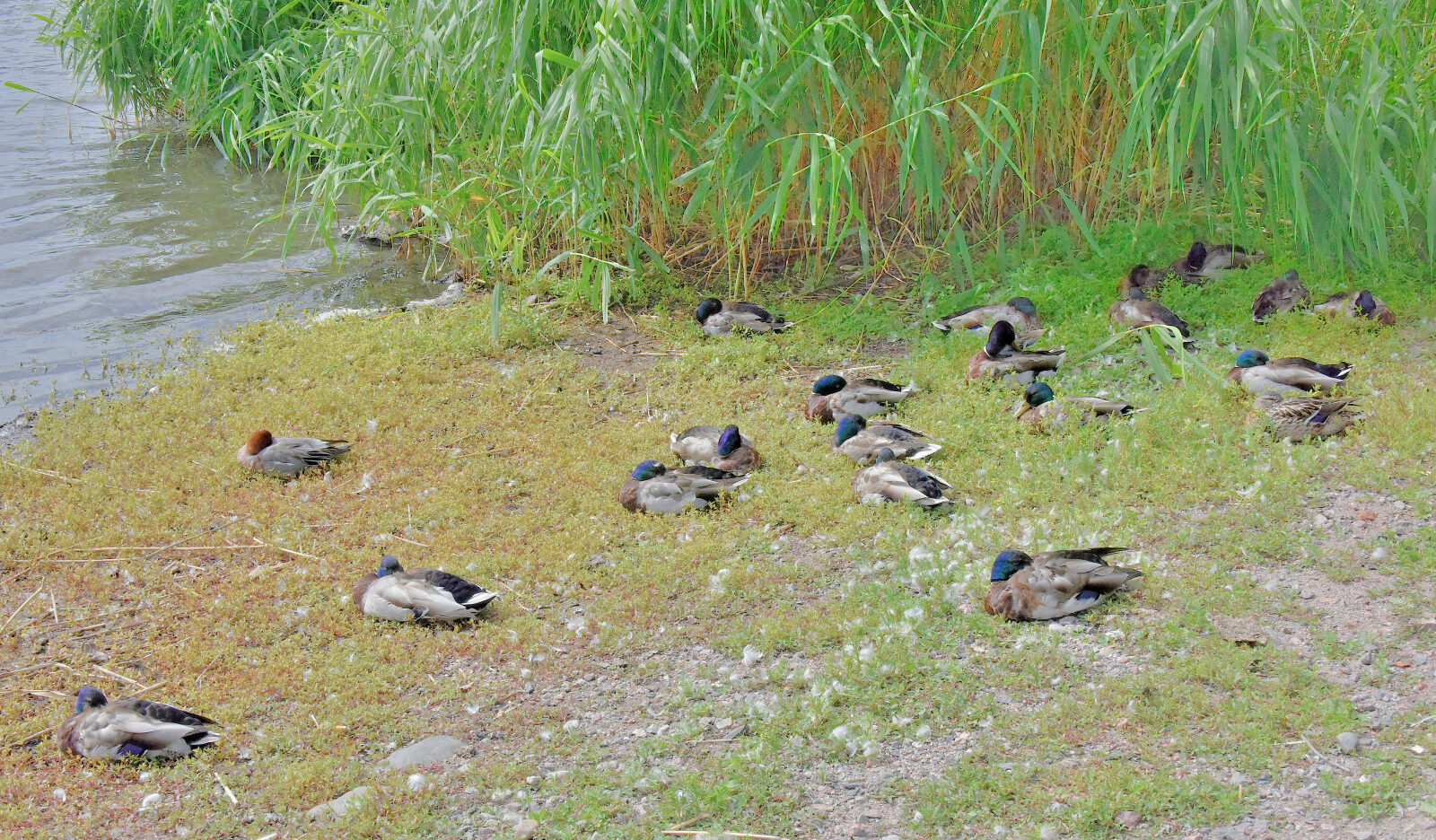 Valokuvaaja: Reijo Juurinen