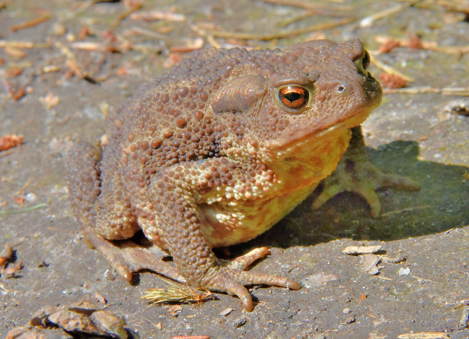 Valokuvaaja: Reijo Juurinen