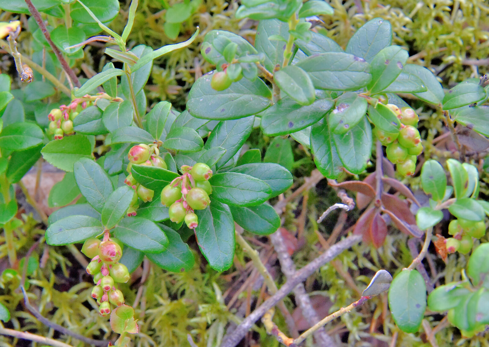 Valokuvaaja: Reijo Juurinen