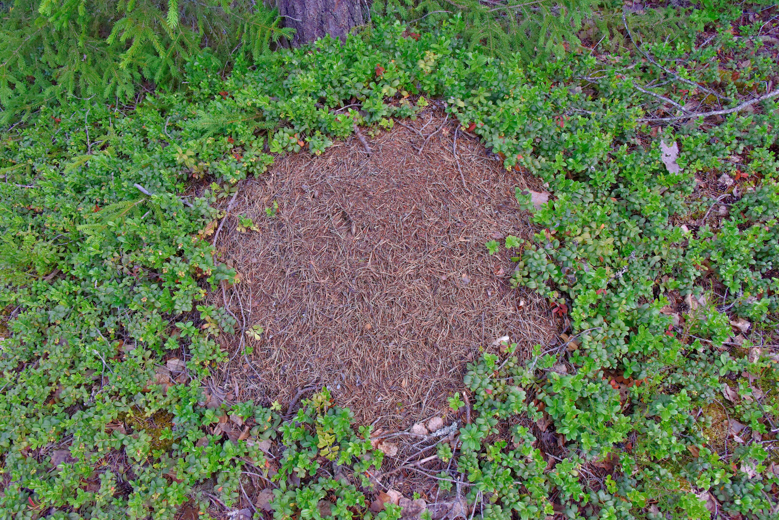 Valokuvaaja: Reijo Juurinen