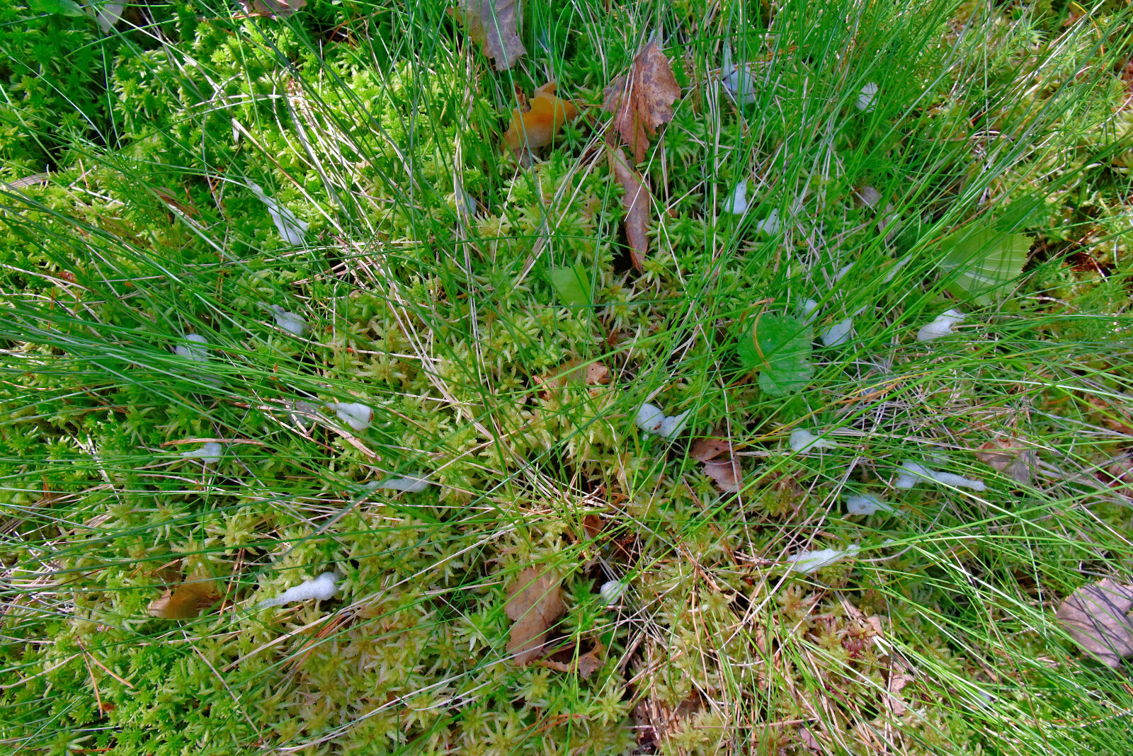 Valokuvaaja: Reijo Juurinen