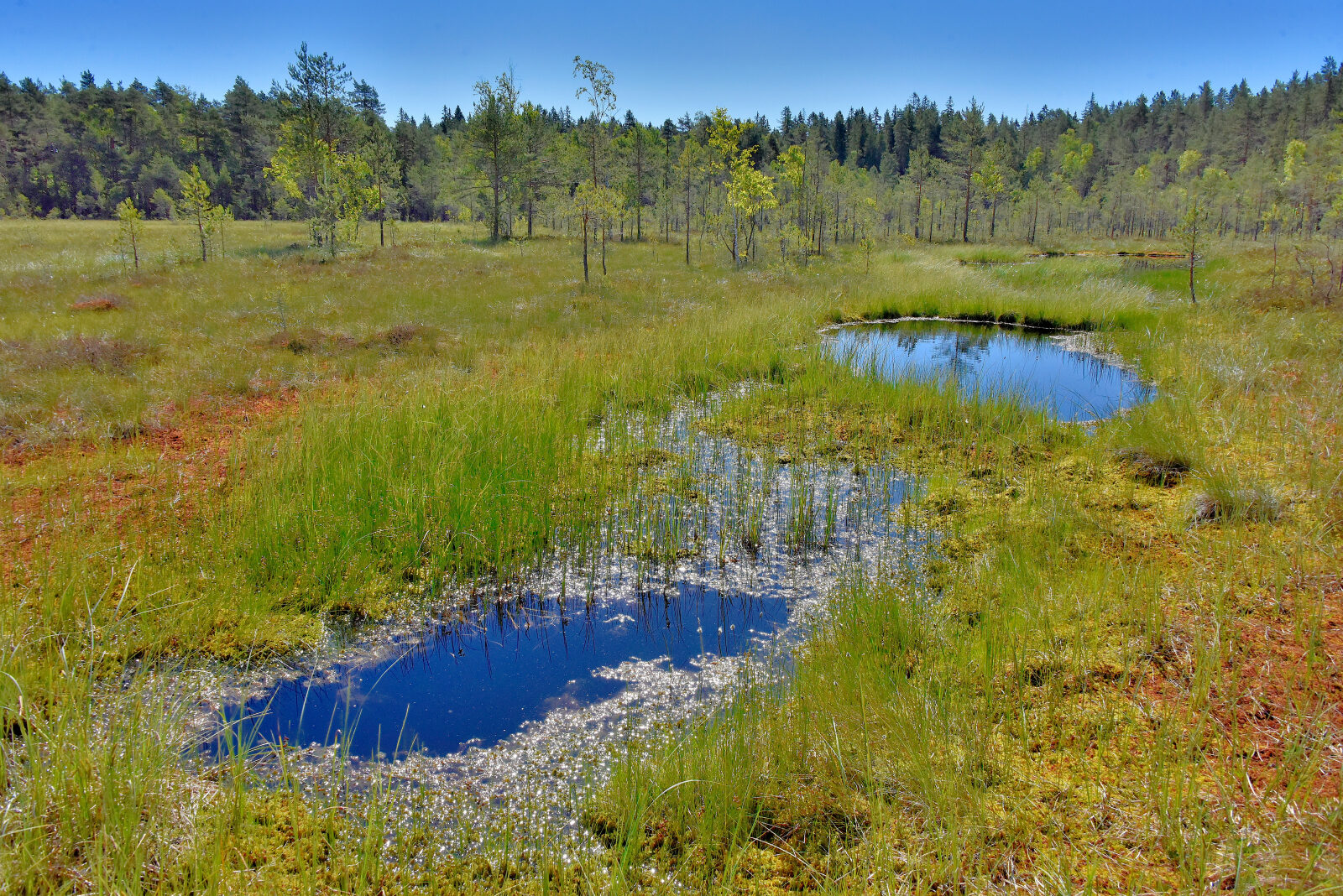 Valokuvaaja: Reijo Juurinen