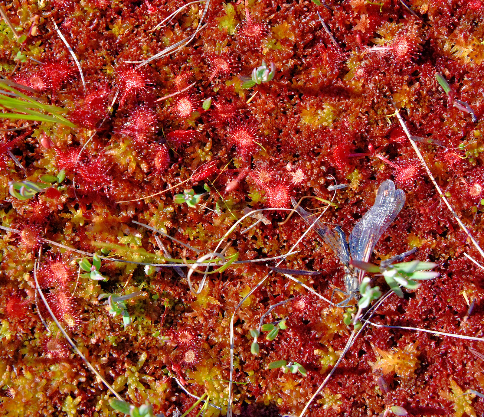 Valokuvaaja: Reijo Juurinen