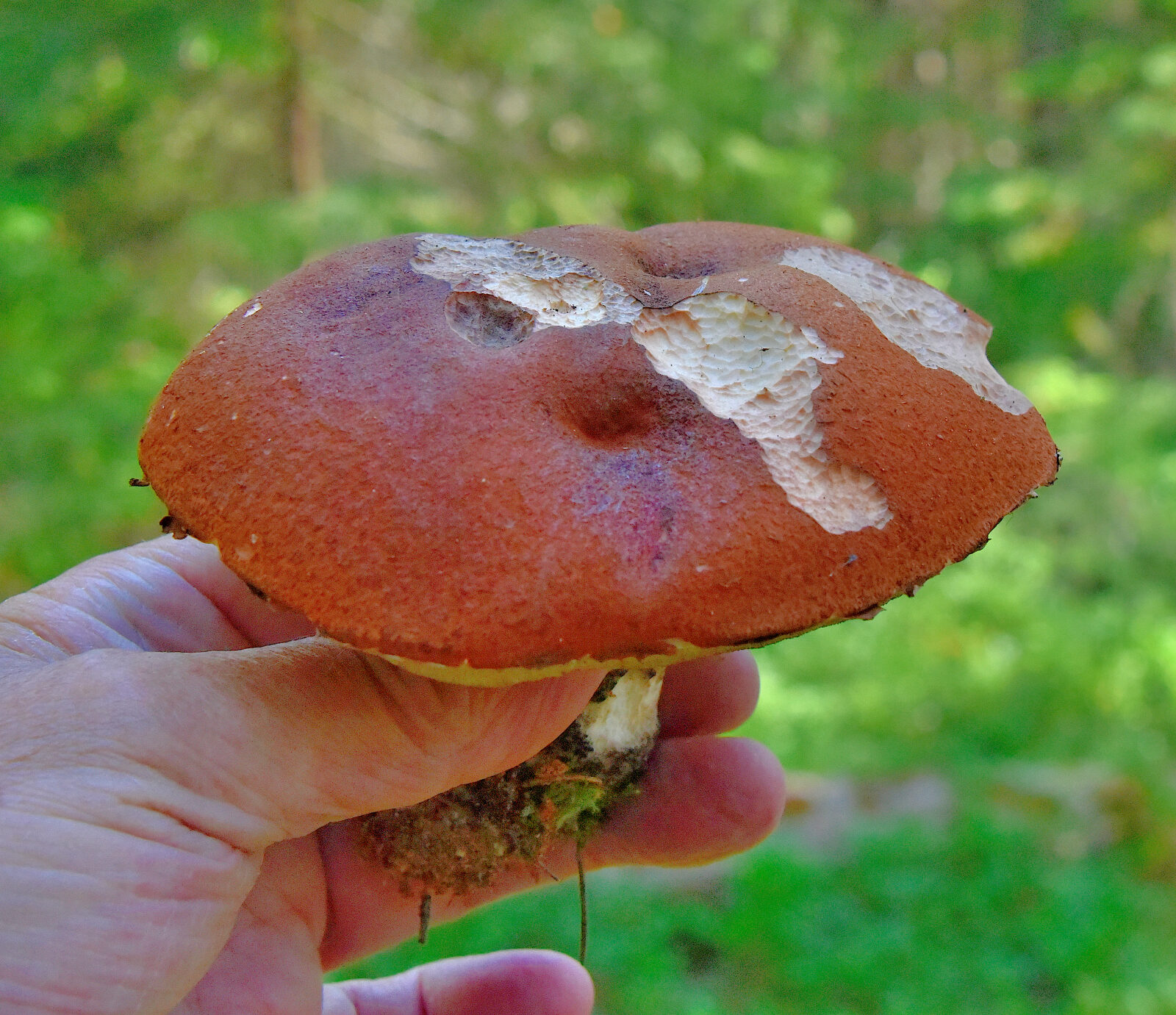 Valokuvaaja: Reijo Juurinen