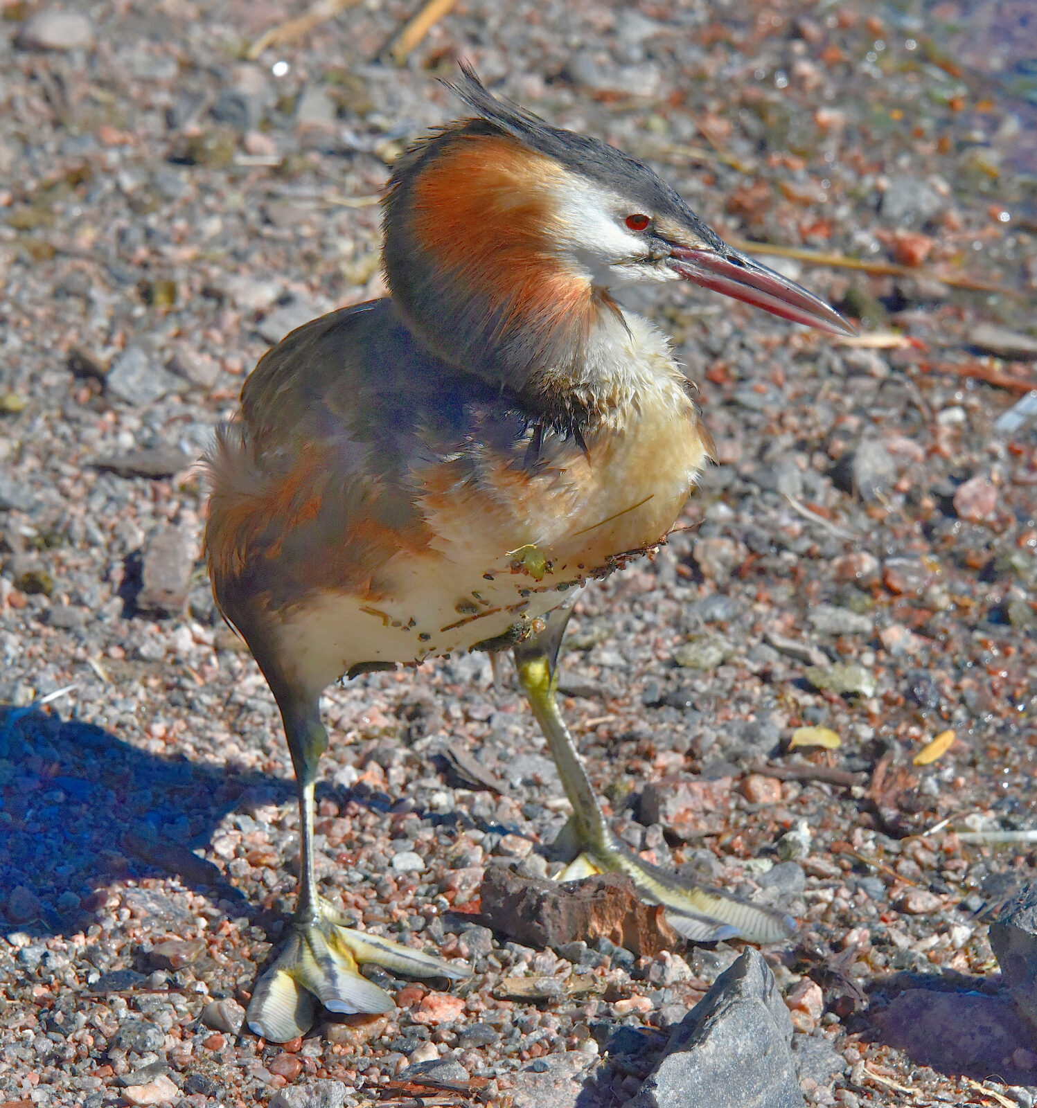Valokuvaaja: Reijo Juurinen