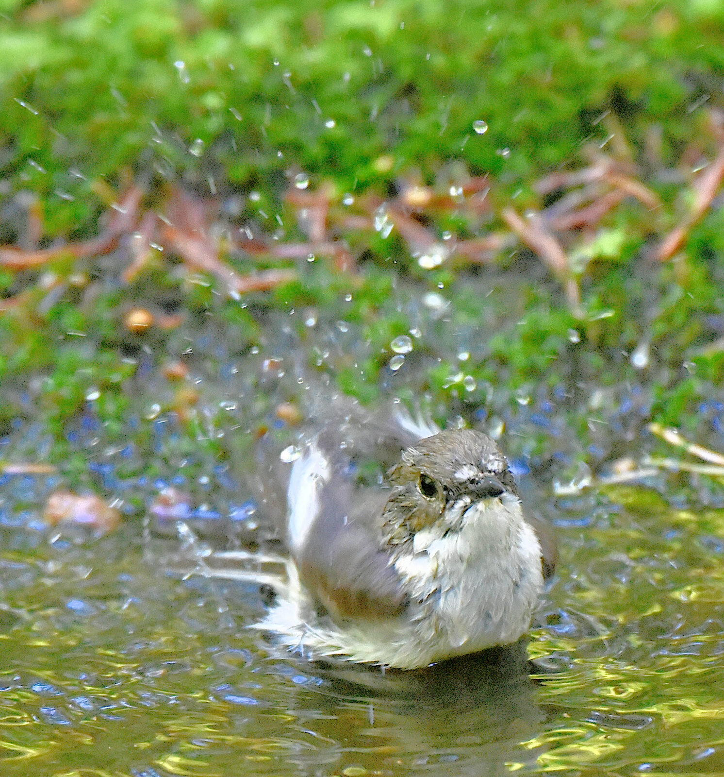 Valokuvaaja: Reijo Juurinen