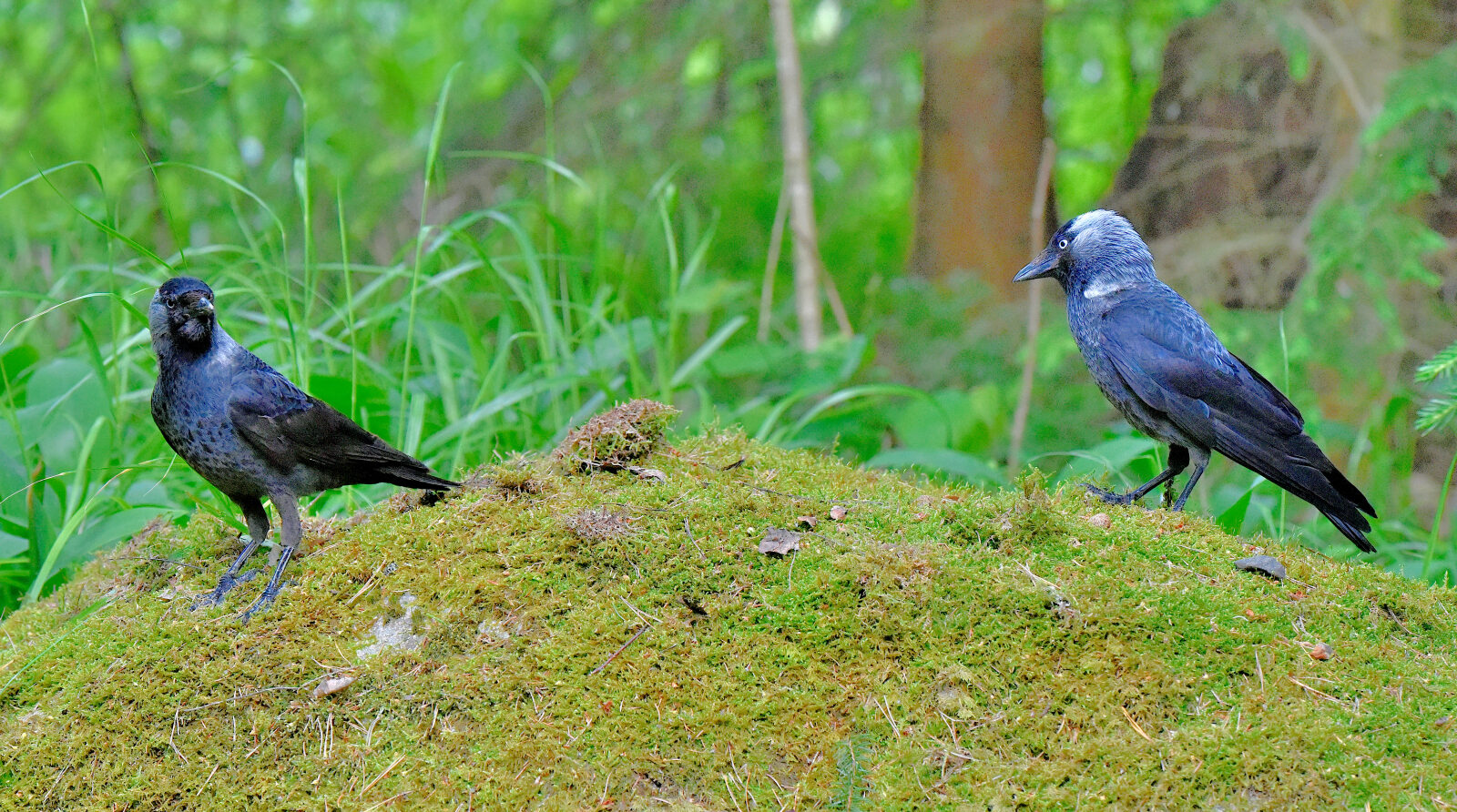 Valokuvaaja: Reijo Juurinen
