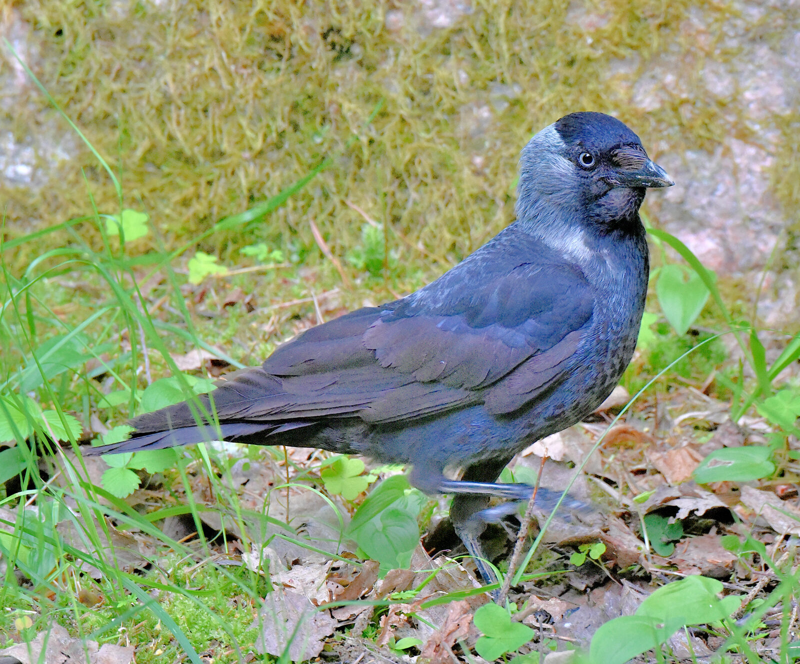 Valokuvaaja: Reijo Juurinen