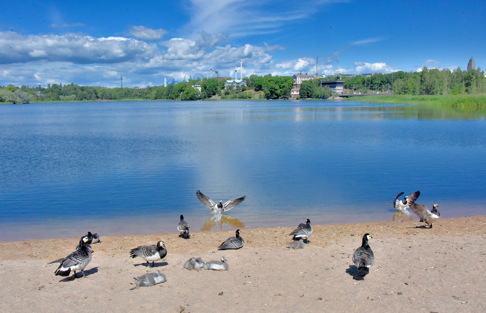 Valokuvaaja: Reijo Juurinen