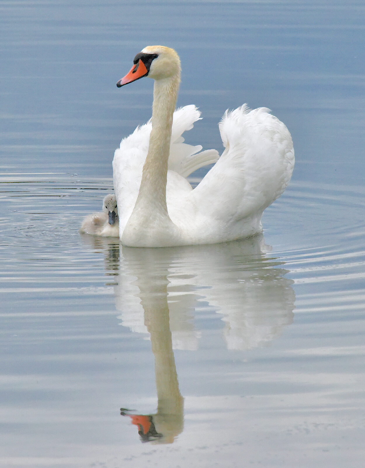 Valokuvaaja: Reijo Juurinen