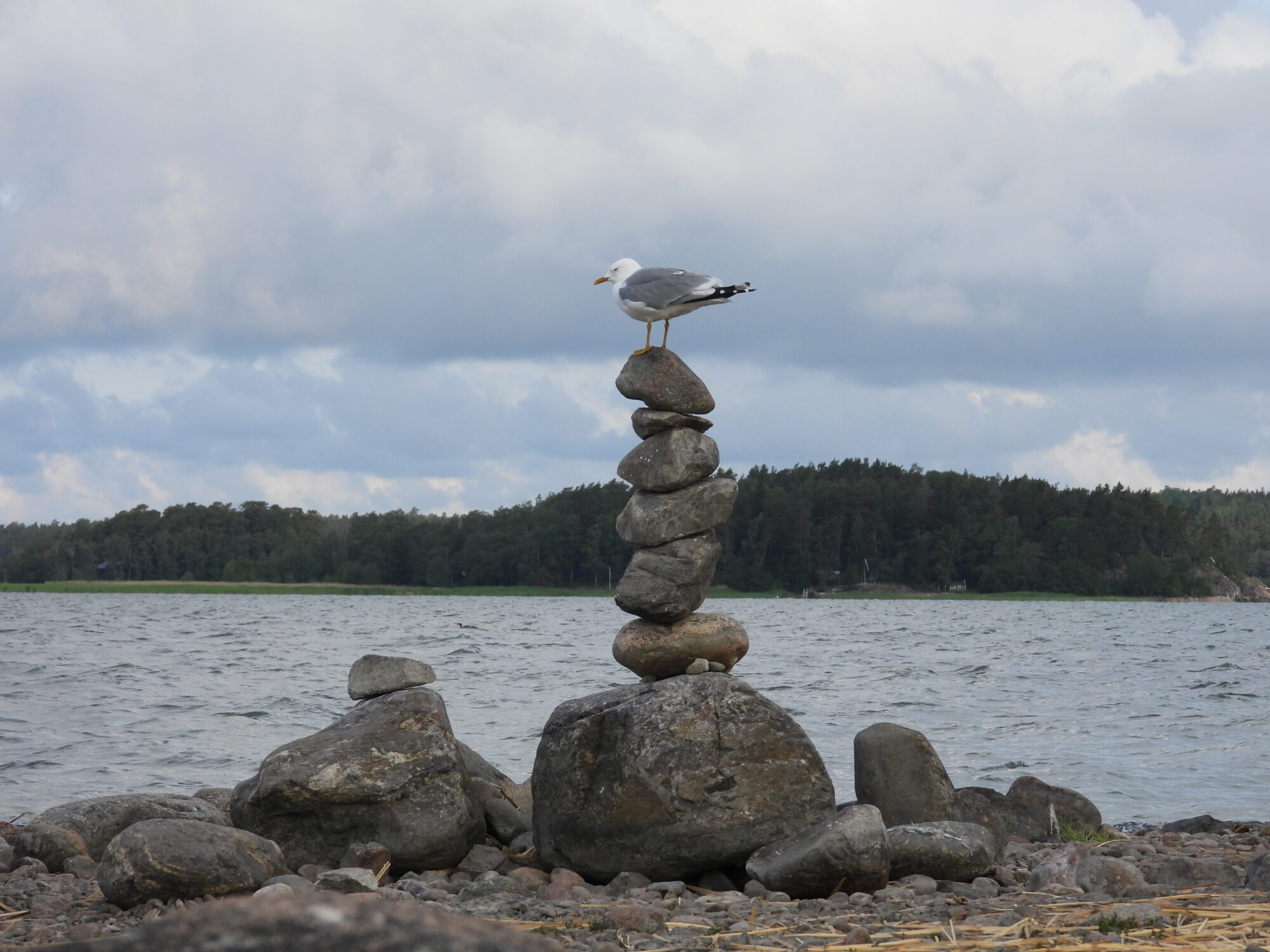 Valokuvaaja: Juhani Peltonen