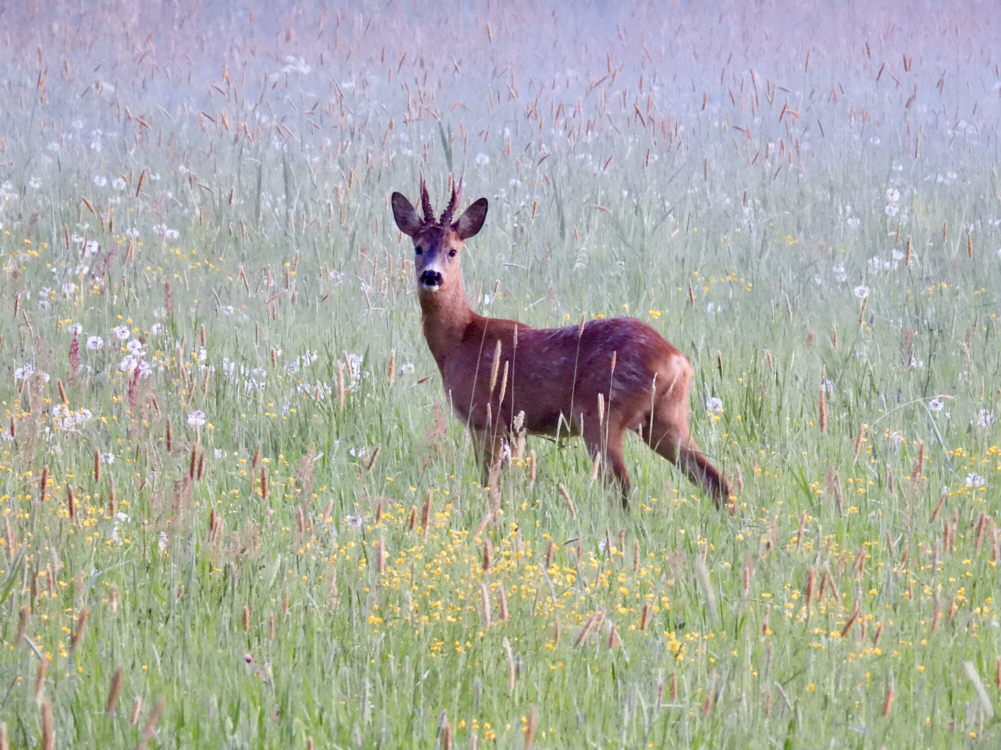 Valokuvaaja: Juhani Peltonen Valokuvaaja: Juhani Peltonen