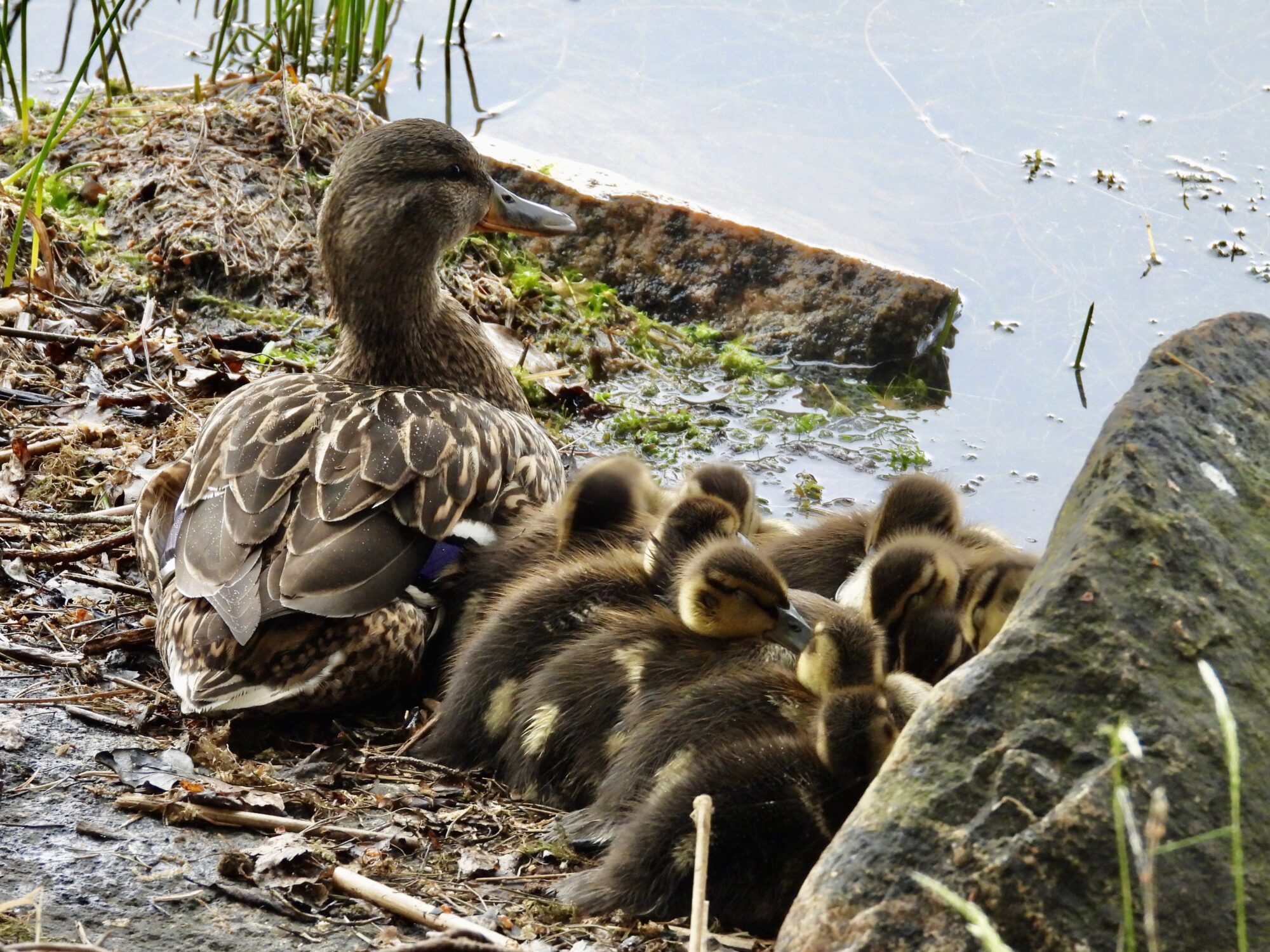 Valokuvaaja: Juhani Peltonen
