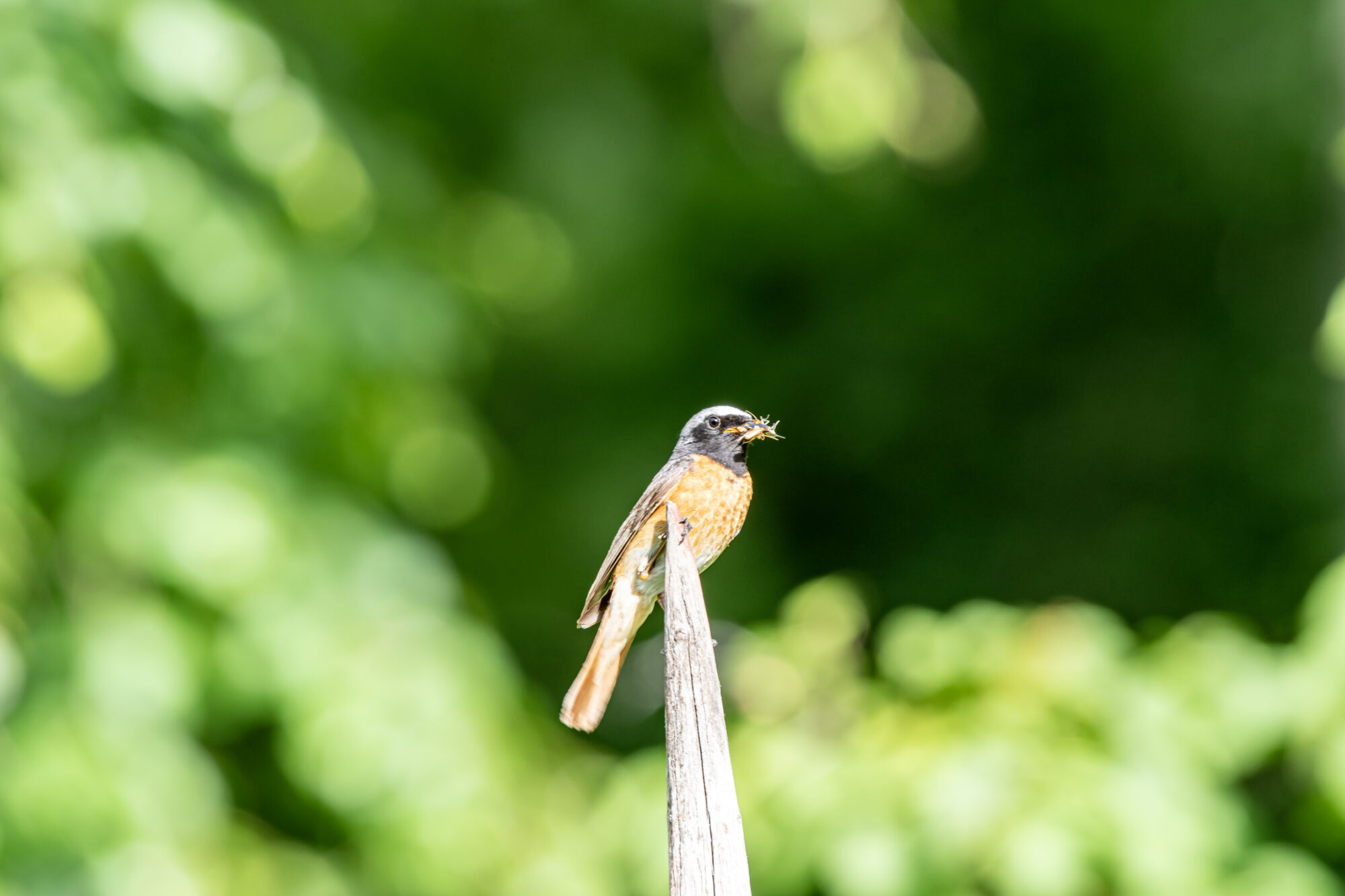Valokuvaaja: Leena Rissanen