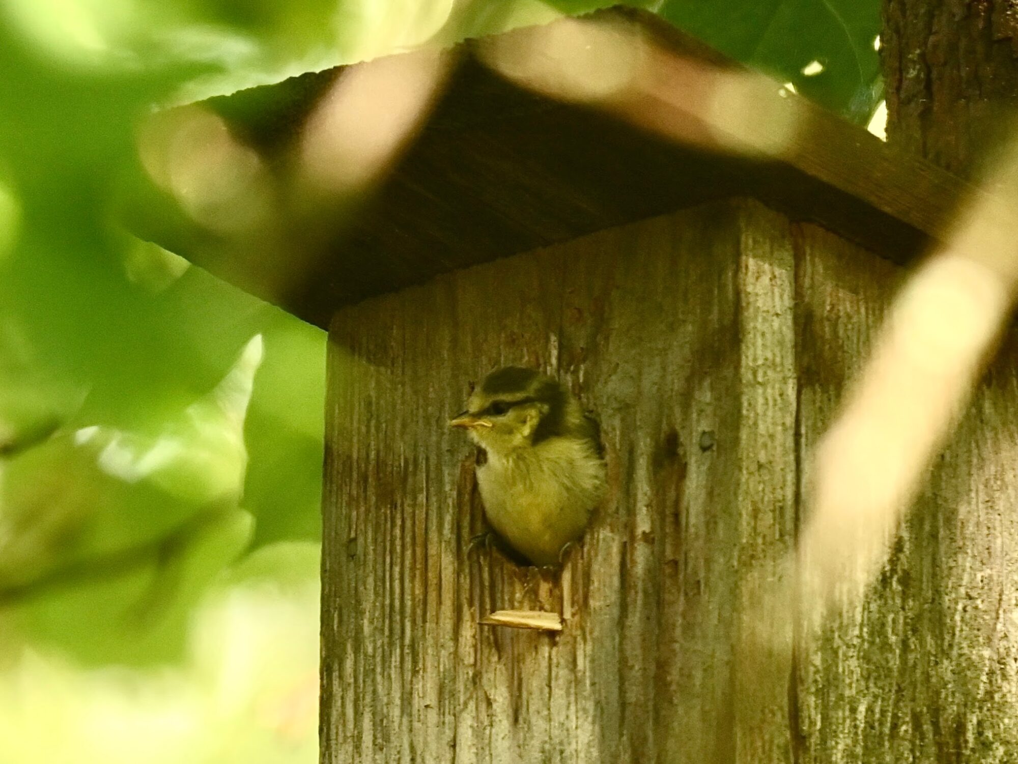 Valokuvaaja: Emilia Miettinen