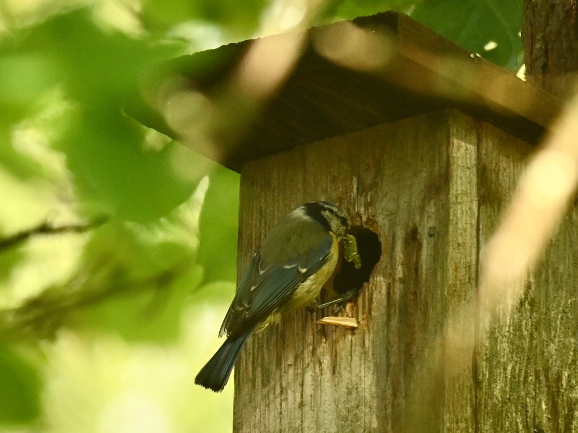 Valokuvaaja: Emilia Miettinen