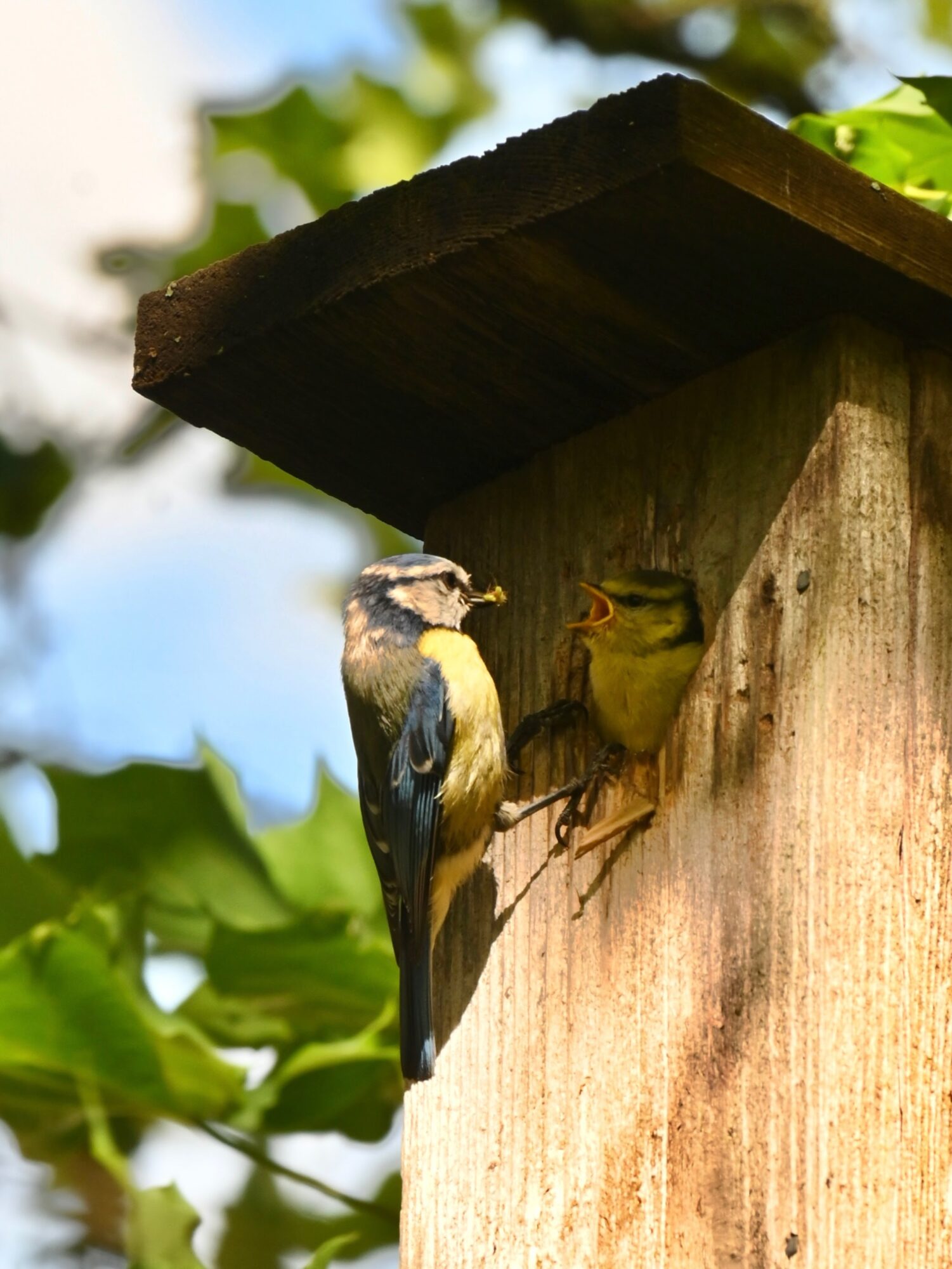 Valokuvaaja: Emilia Miettinen