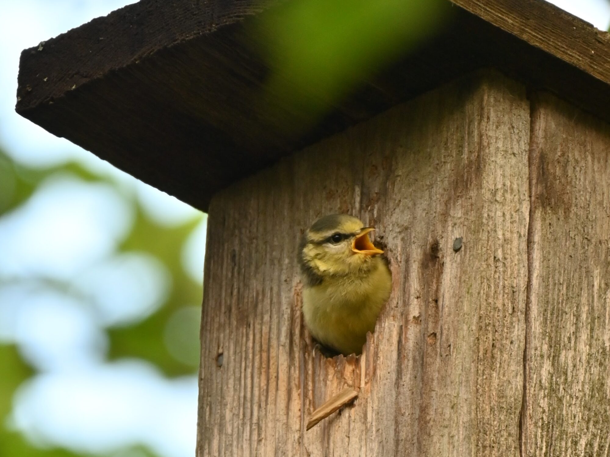 Valokuvaaja: Emilia Miettinen
