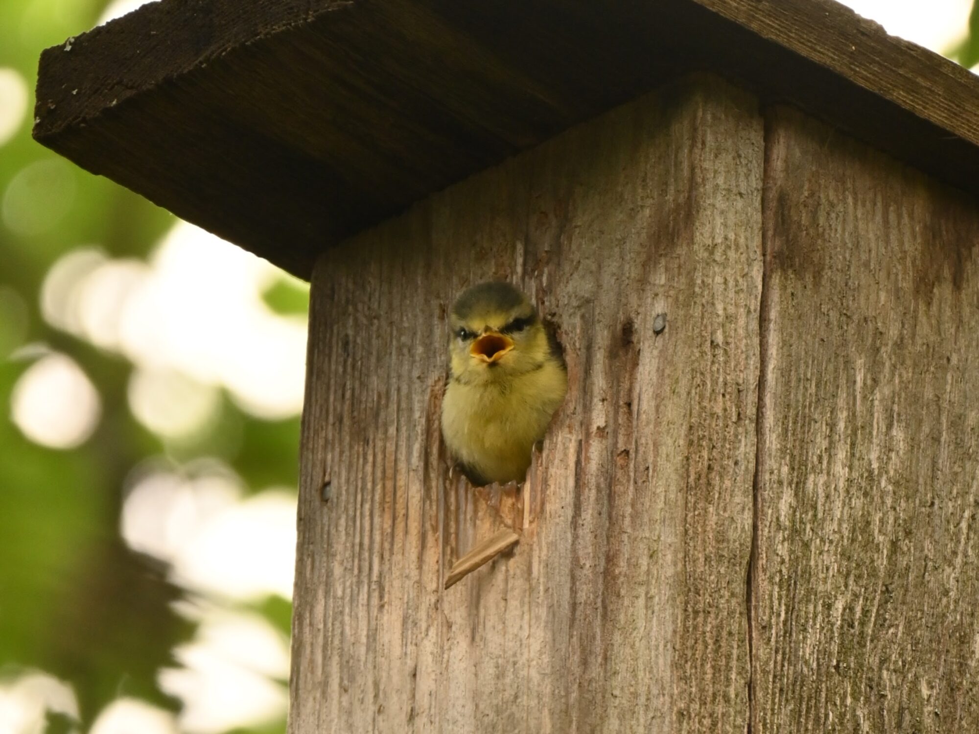 Valokuvaaja: Emilia Miettinen