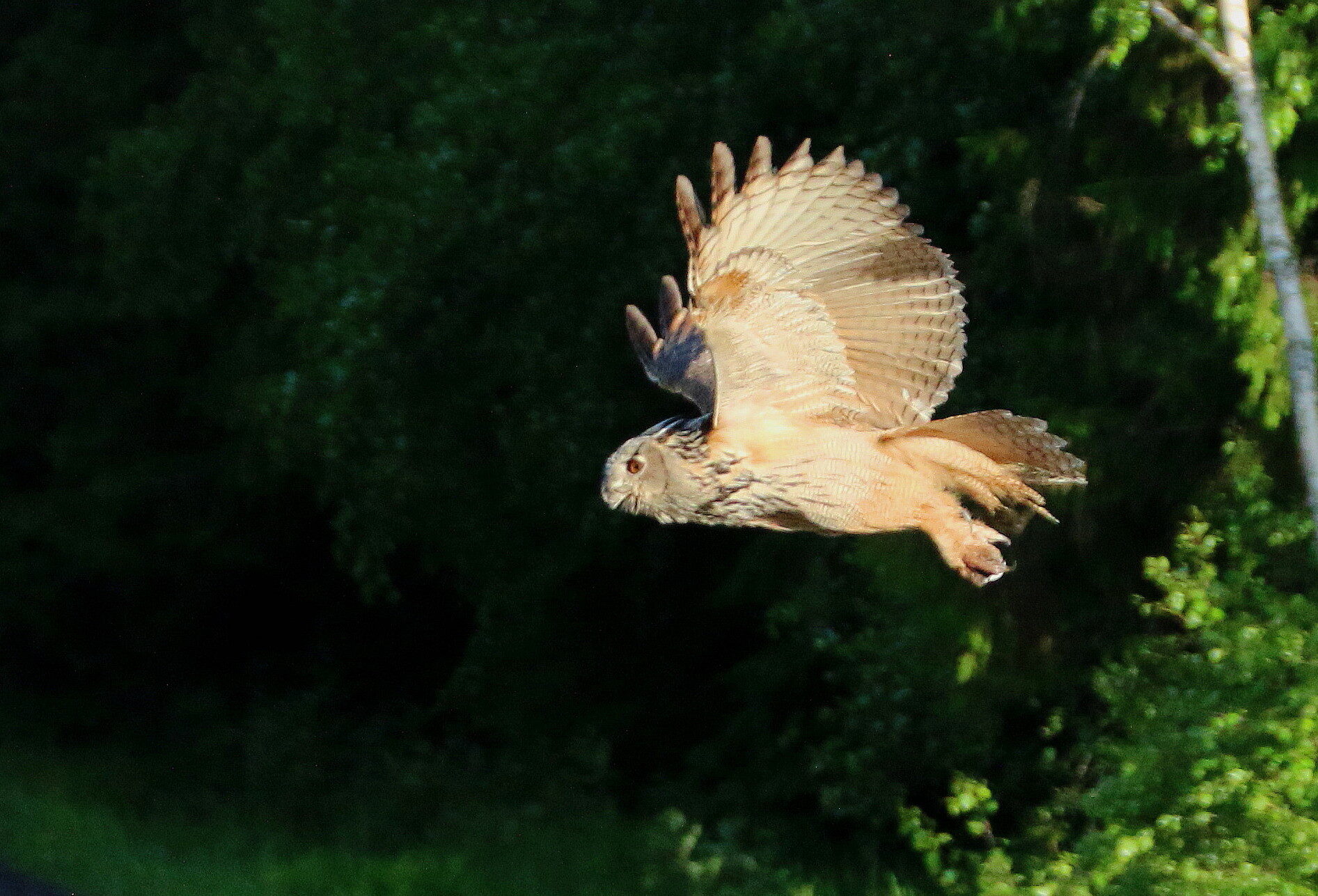 Valokuvaaja: Tuukka Pahtamaa