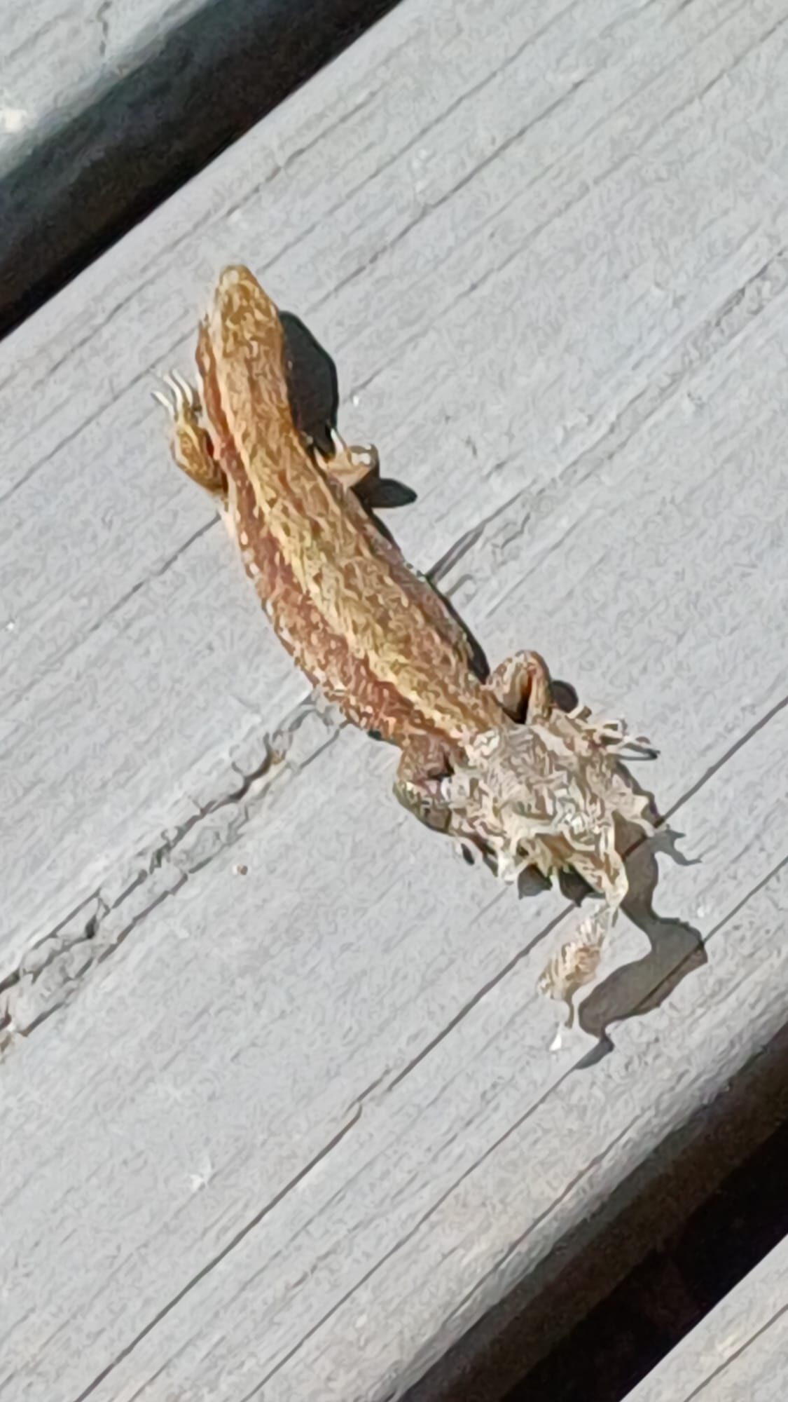 Valokuvaaja: sirpa arponen Valokuvaaja: sirpa arponen