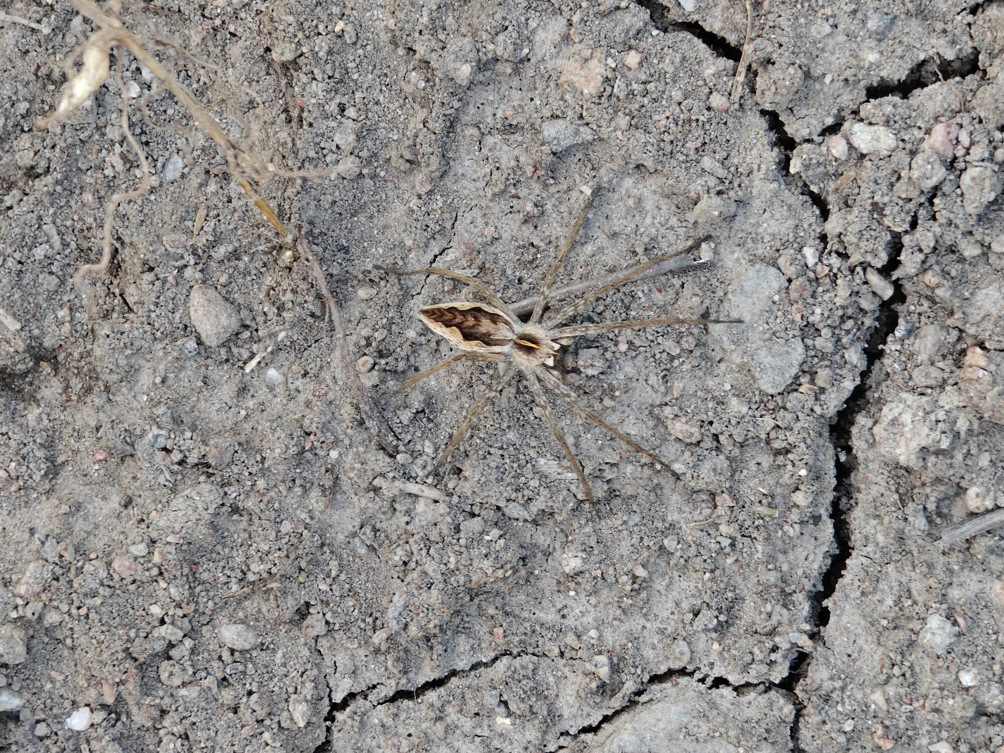 Valokuvaaja: Tiia Sydänmaa-Kalpio