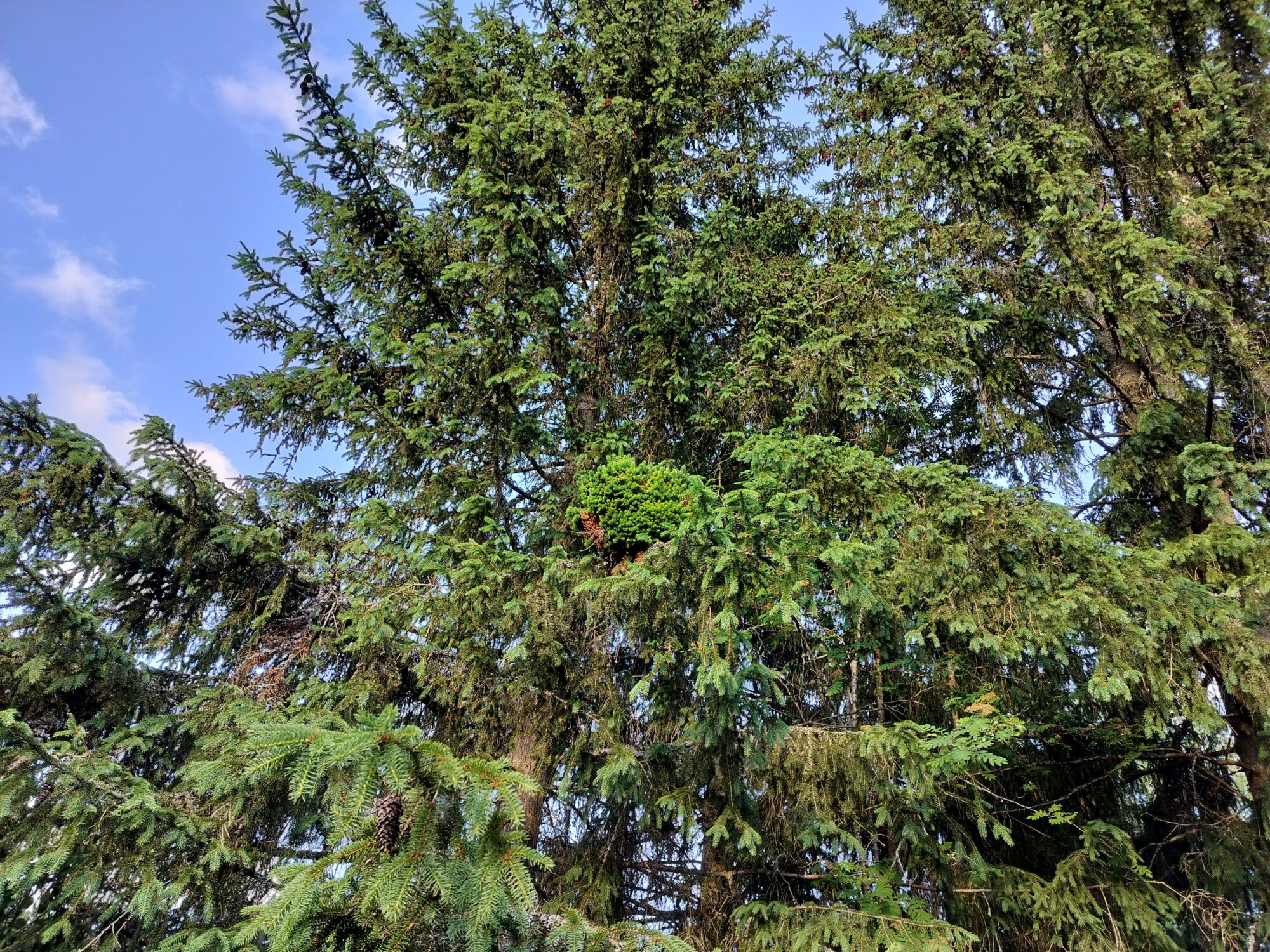 Valokuvaaja: Mika Saarikko